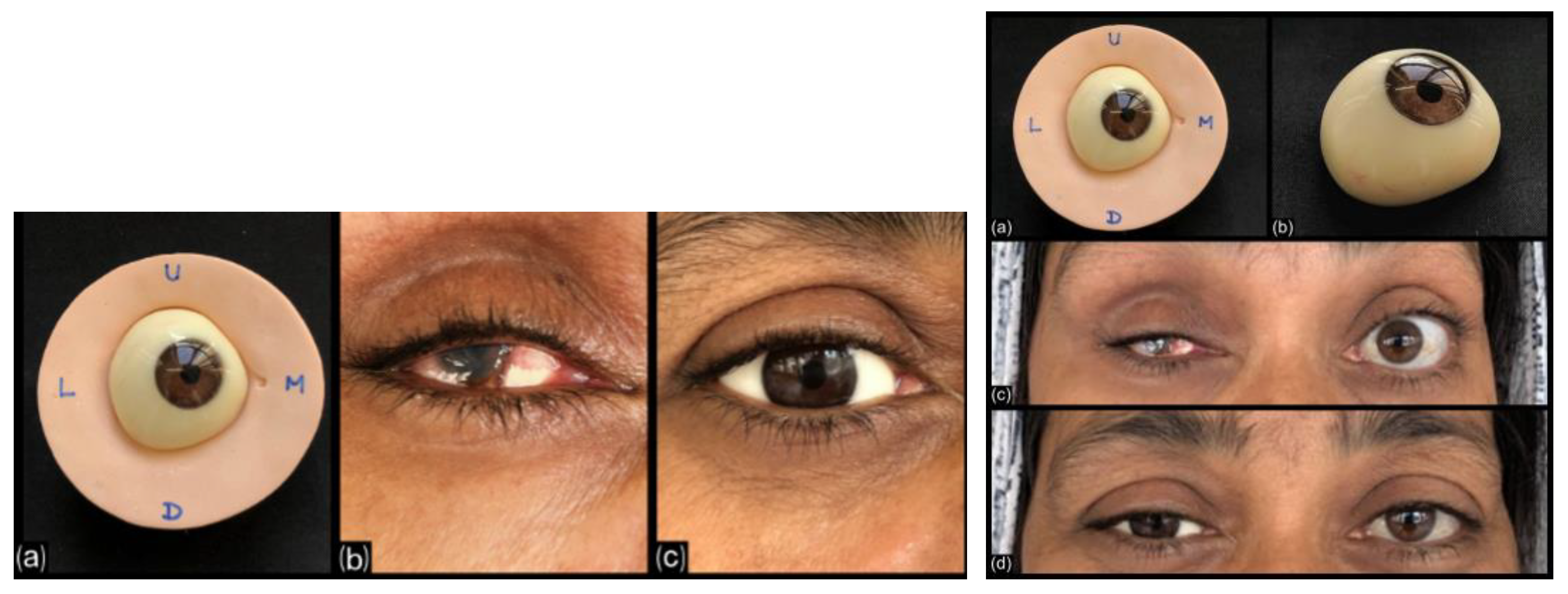 Engproc 56 00150 g004