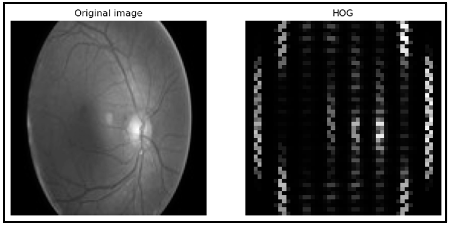 Engproc 56 00170 g003