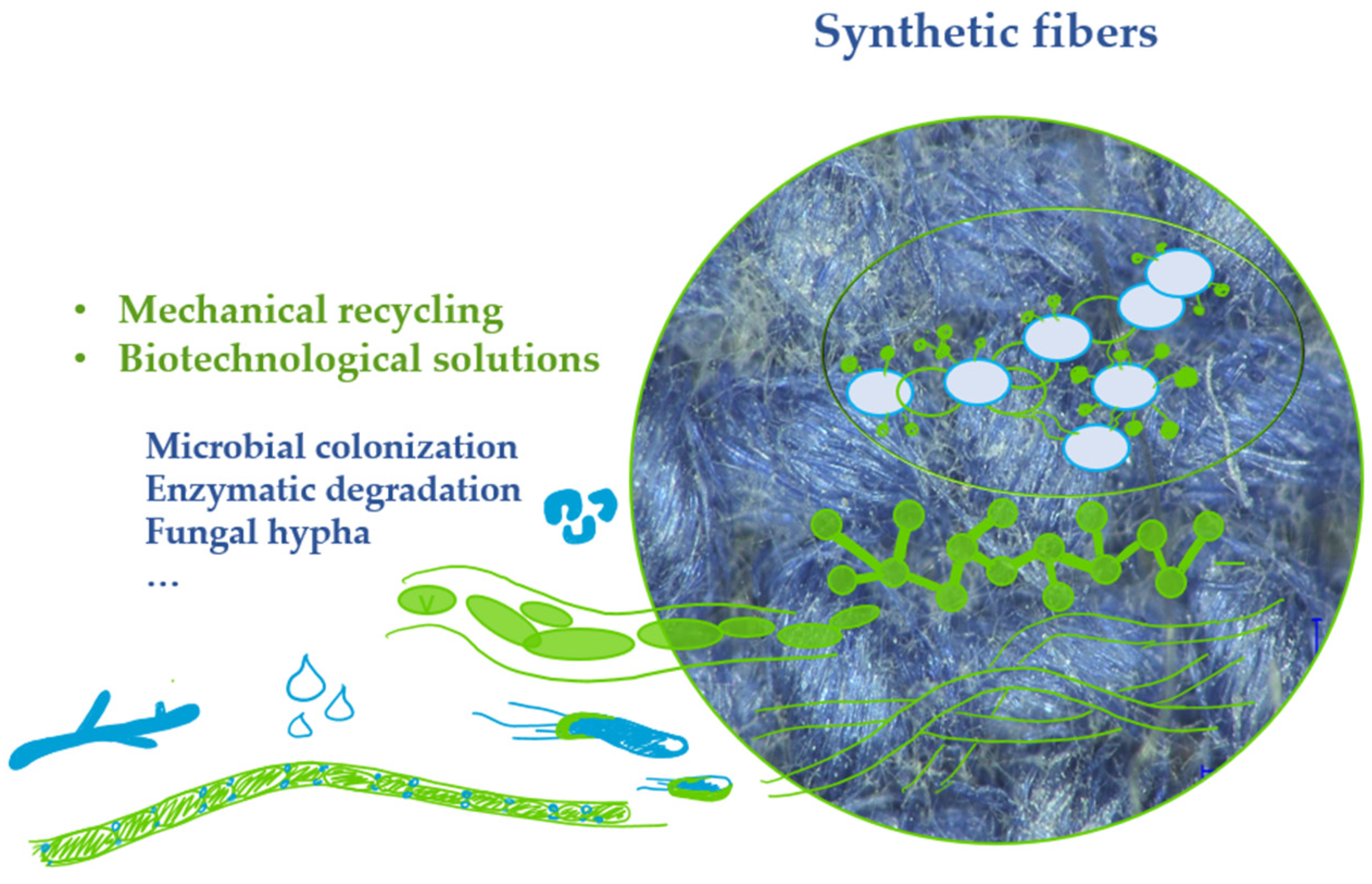 Engproc 56 00181 g001