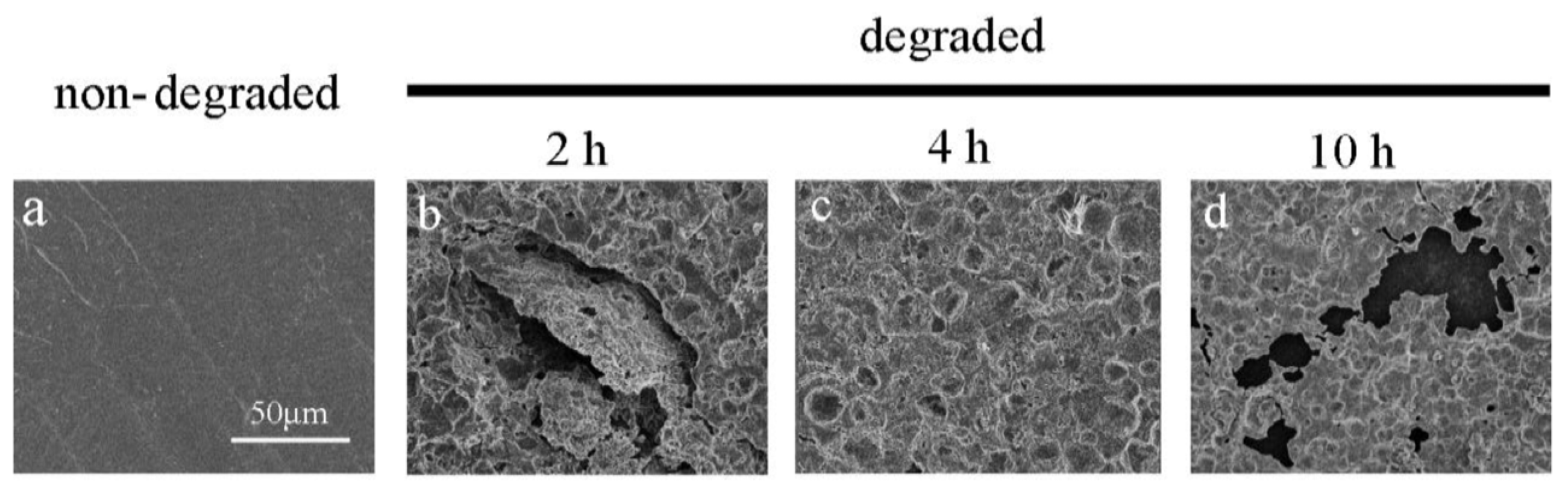 Engproc 56 00181 g003