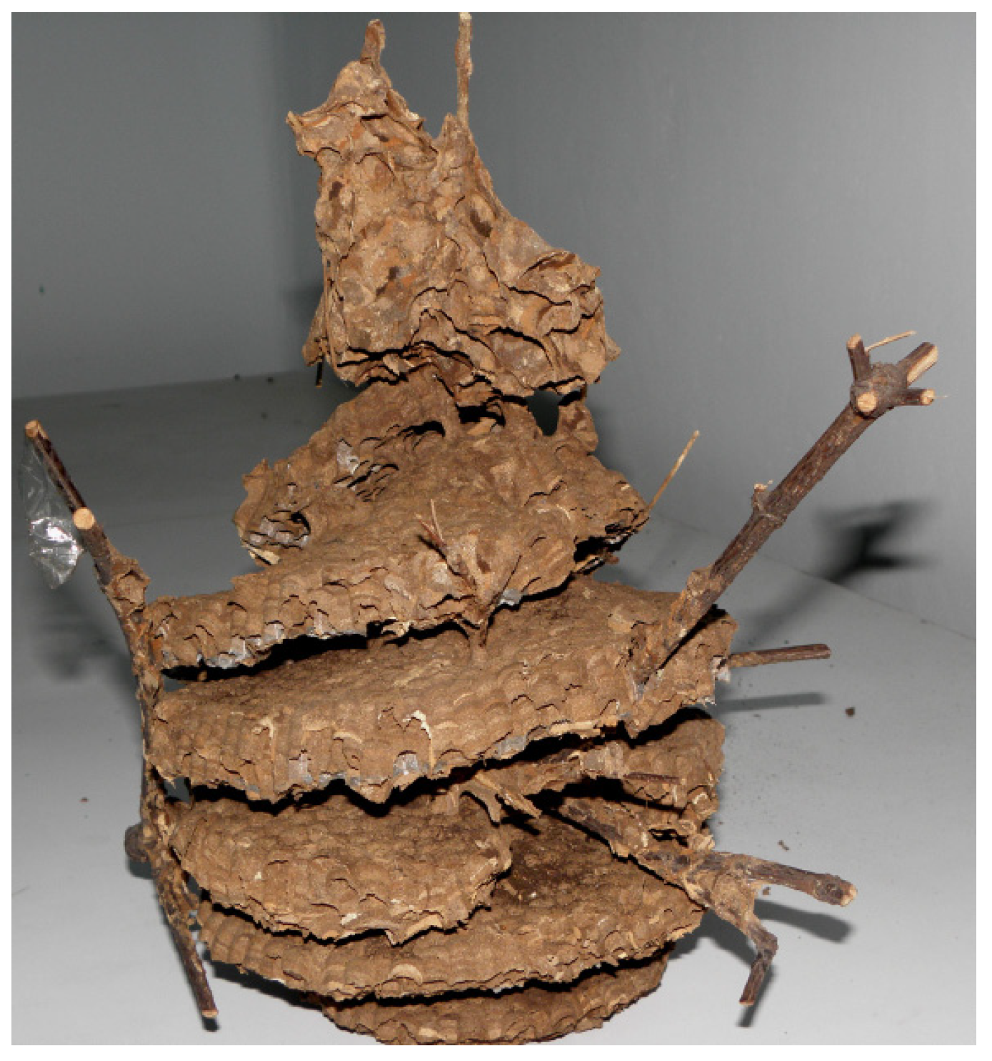 Engproc 56 00201 g002