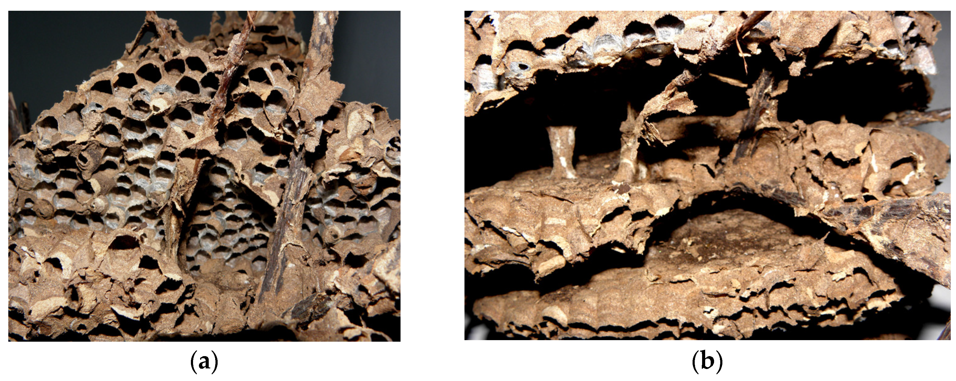 Engproc 56 00201 g003