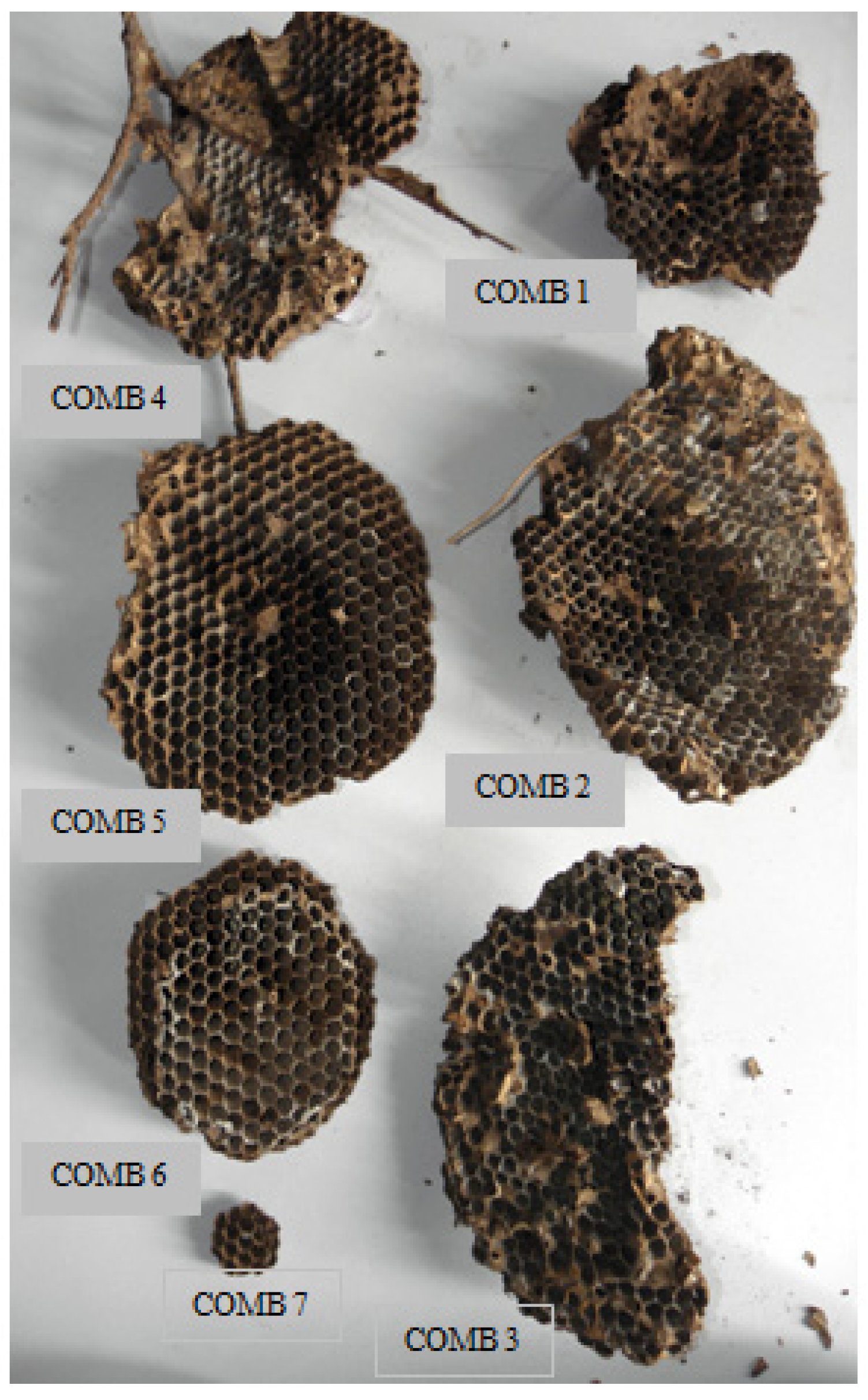 Engproc 56 00201 g005