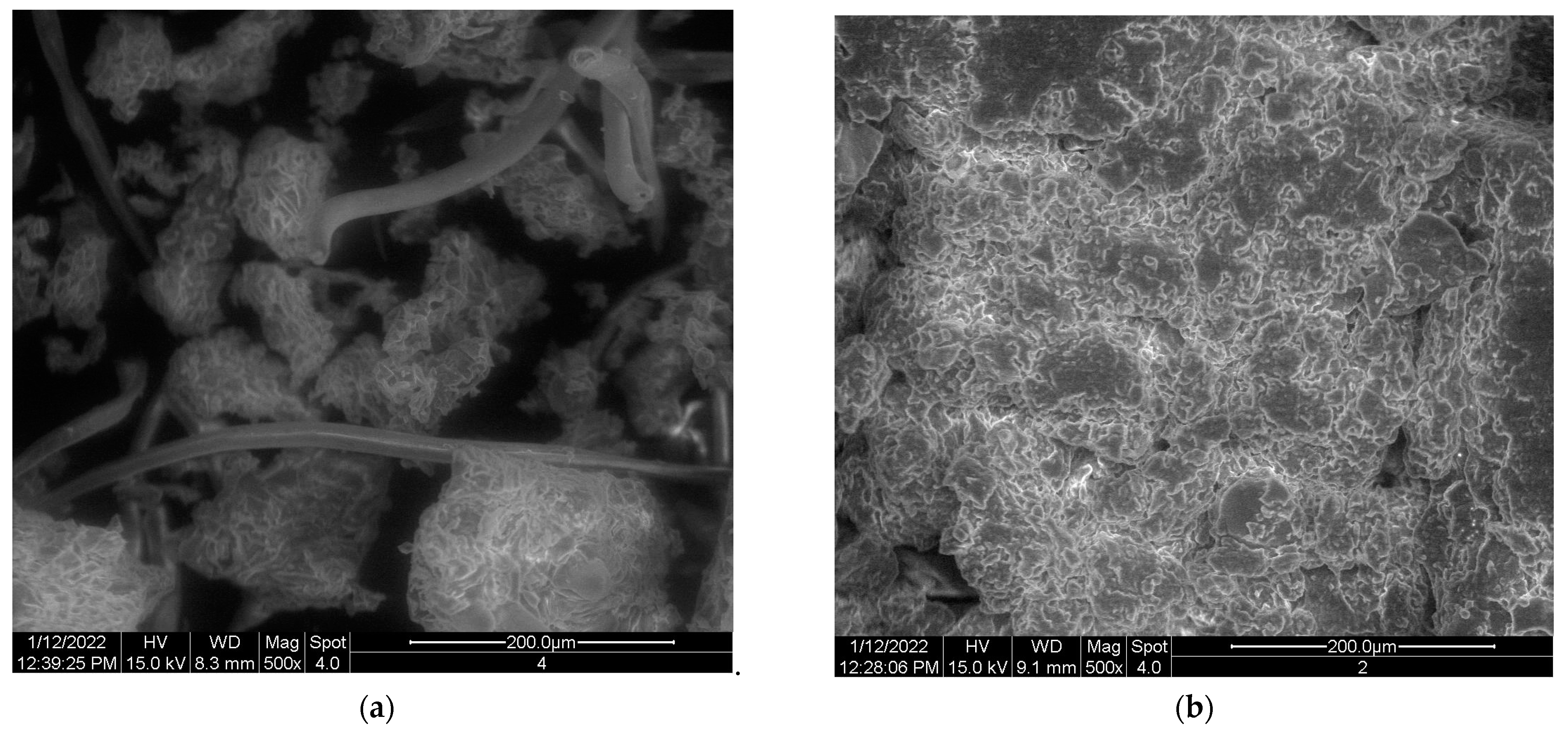 Engproc 56 00222 g002