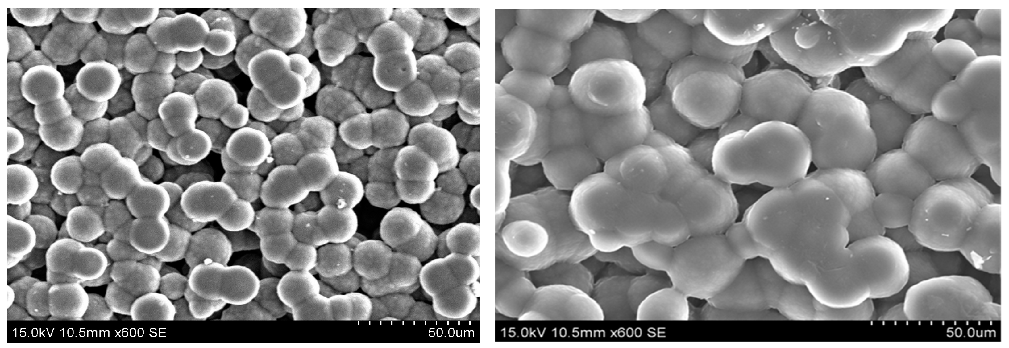 Engproc 56 00231 g006