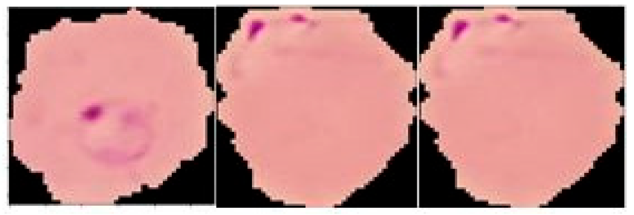 Engproc 56 00232 g002