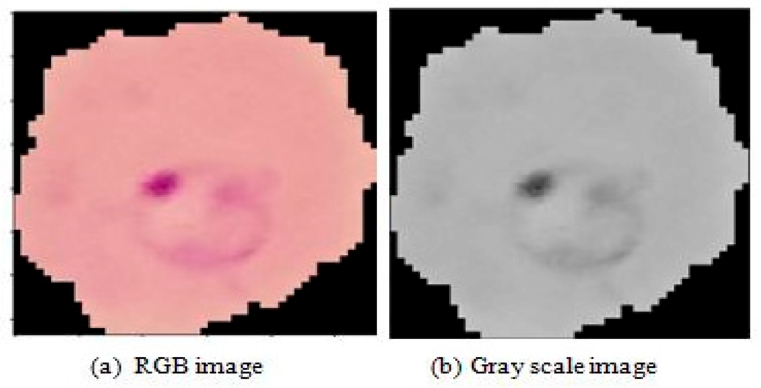 Engproc 56 00232 g003