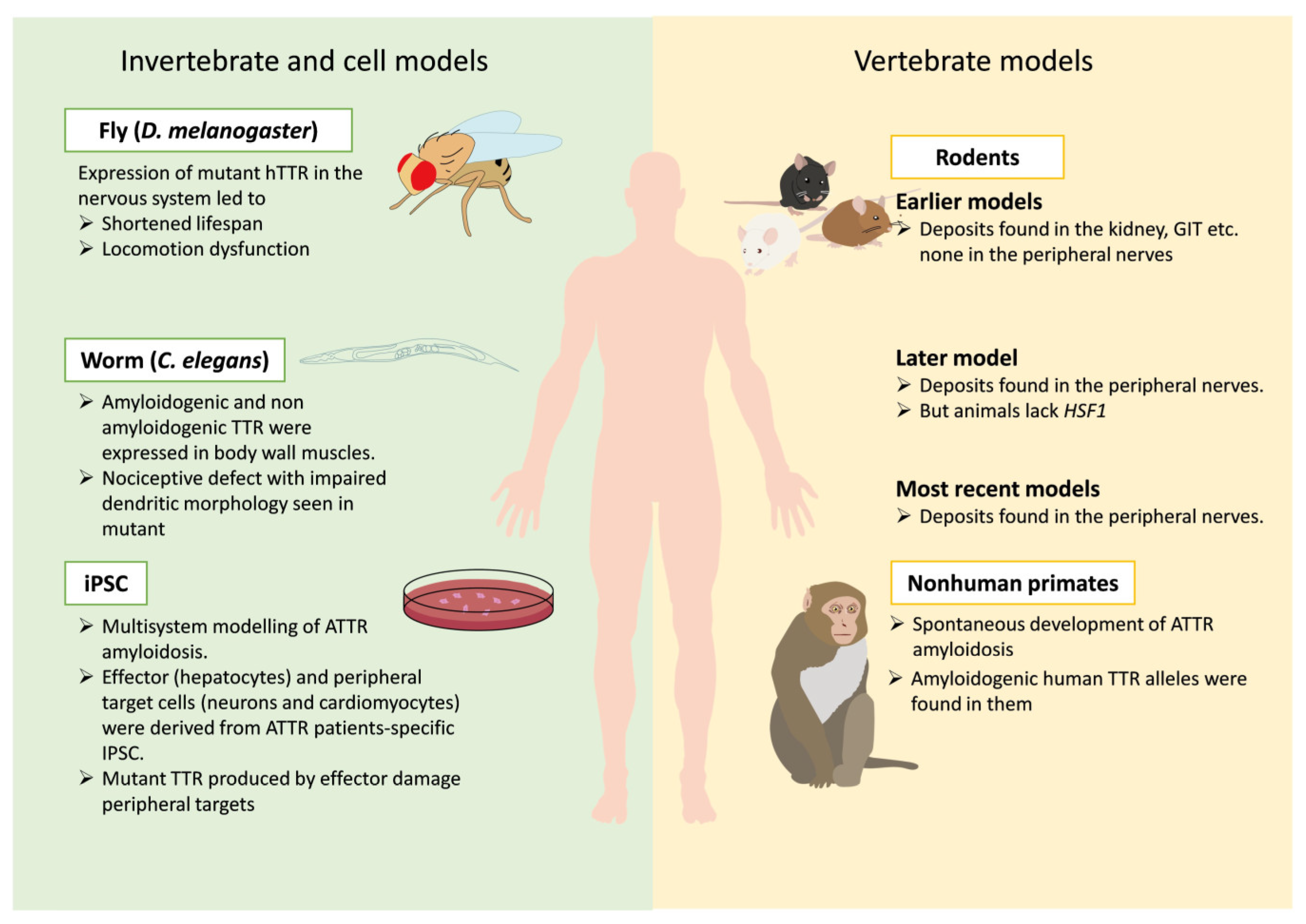Engproc 56 00239 g001