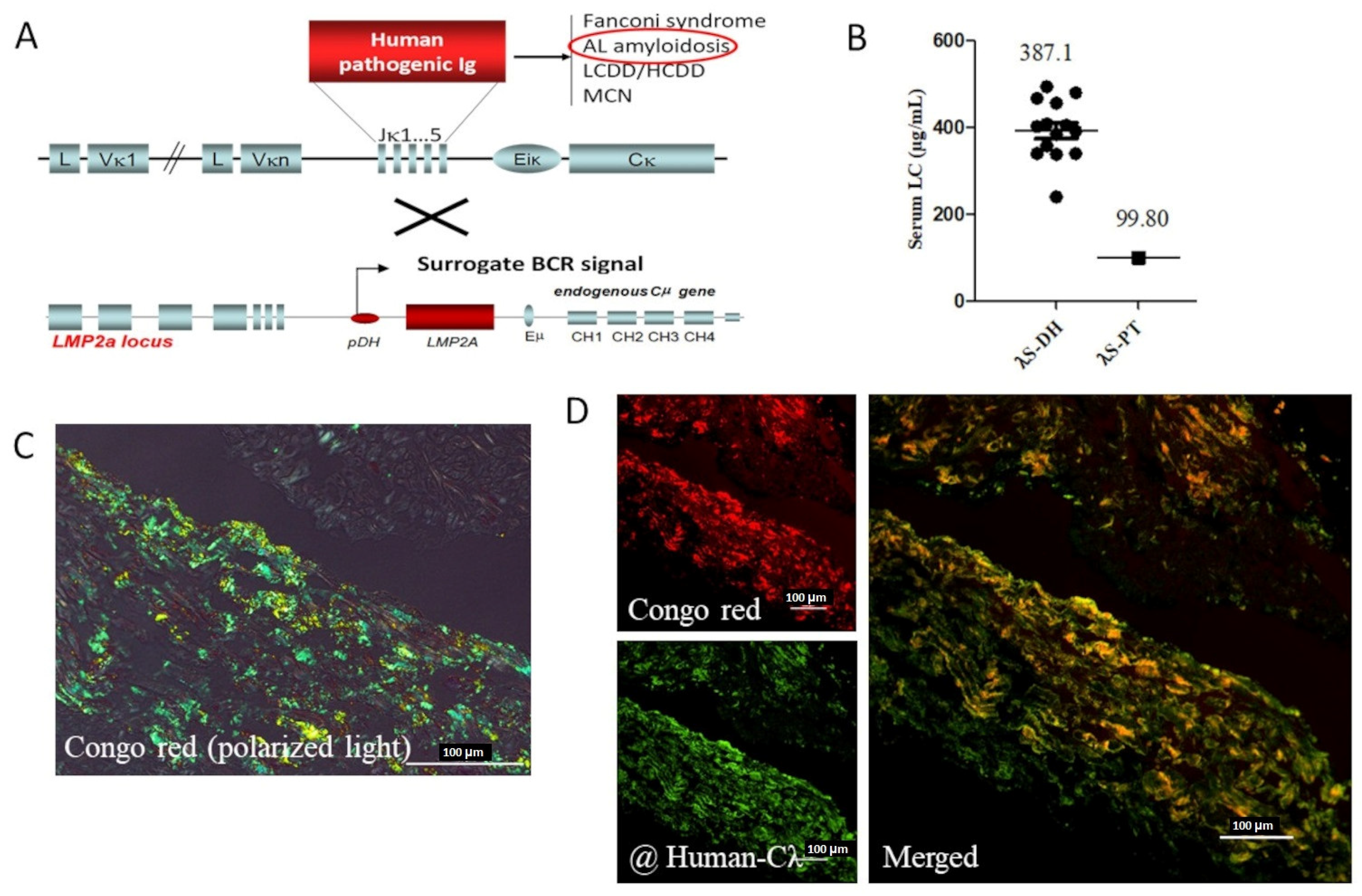 Engproc 56 00239 g002