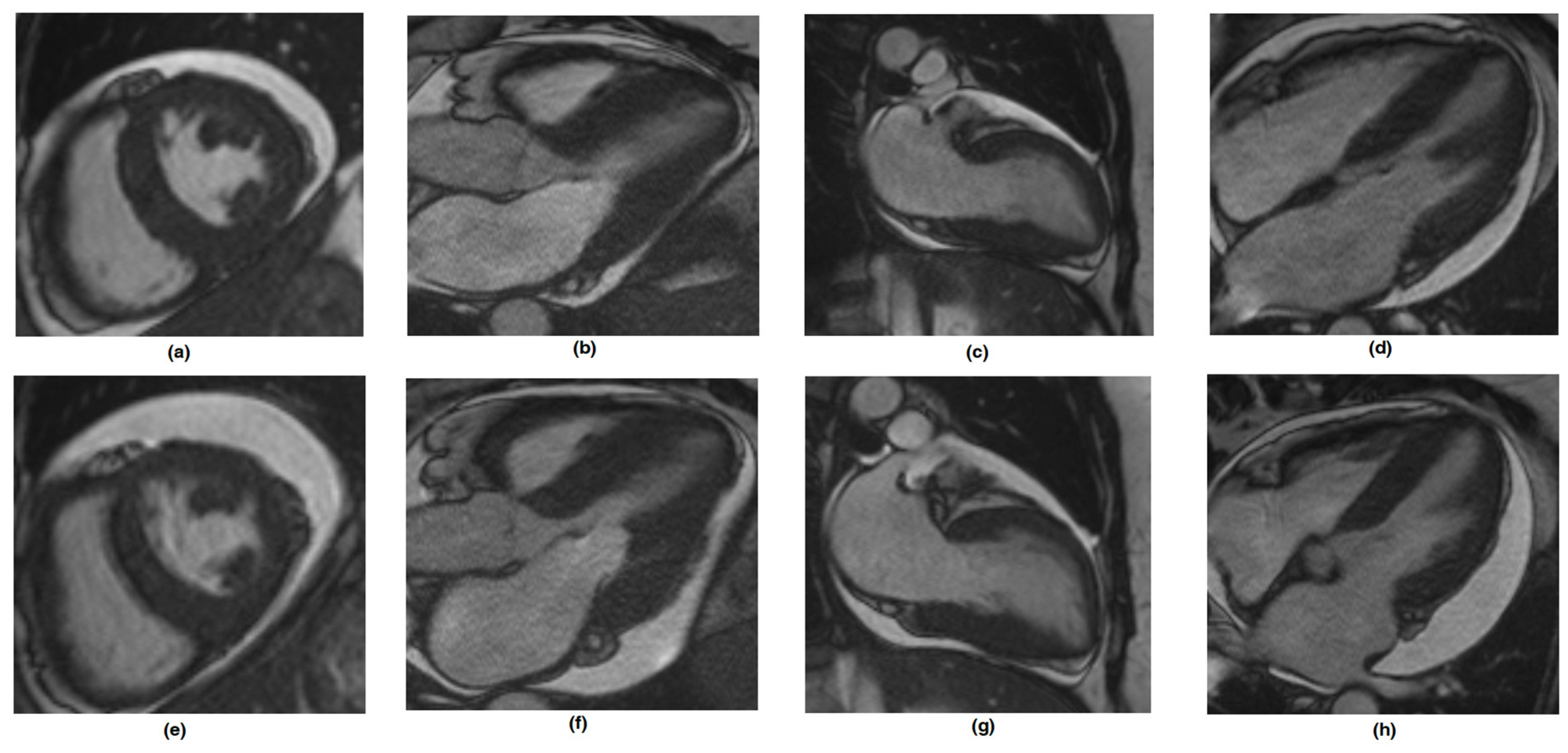 Engproc 56 00239 g003