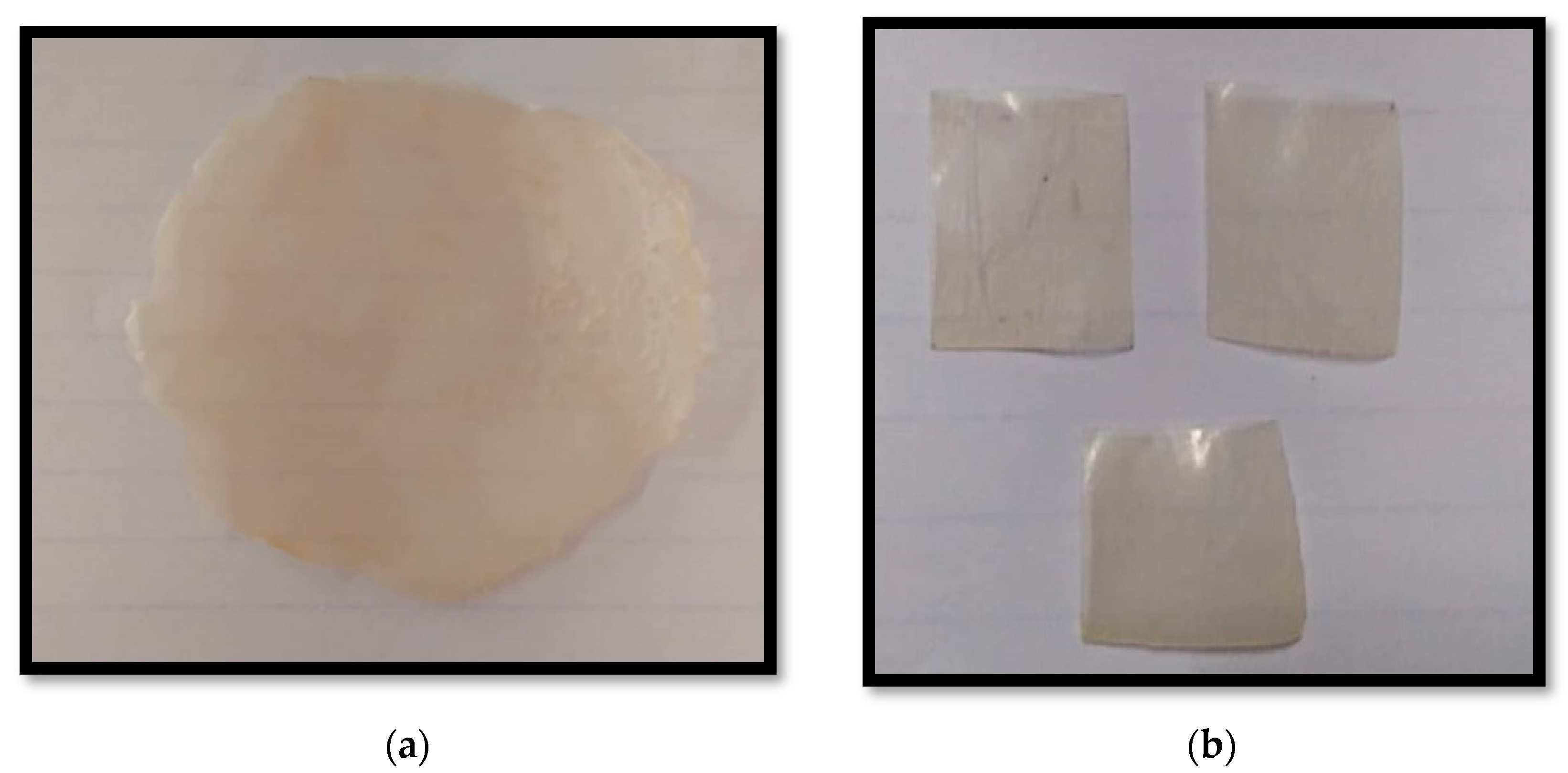 Engproc 56 00268 g001