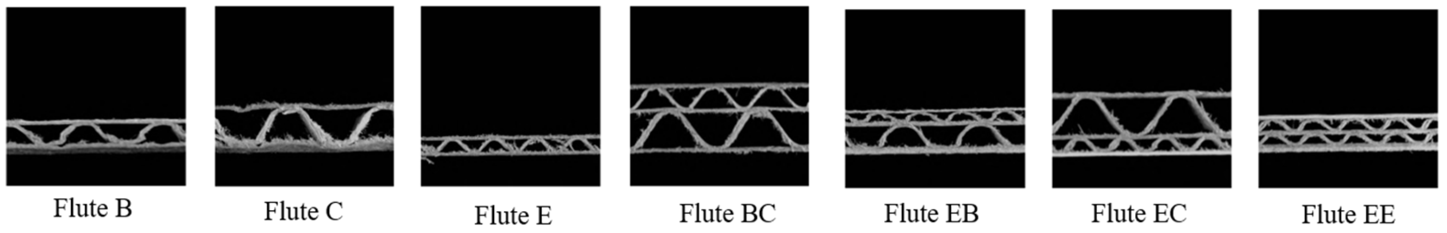 Engproc 56 00272 g001