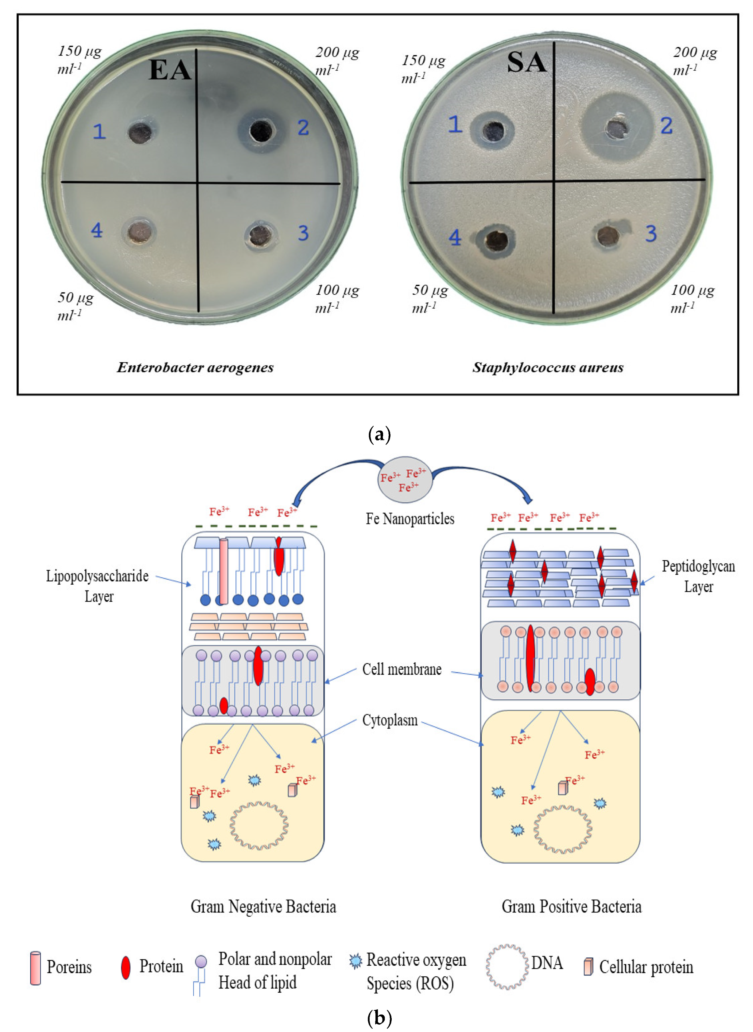 Engproc 56 00293 g009