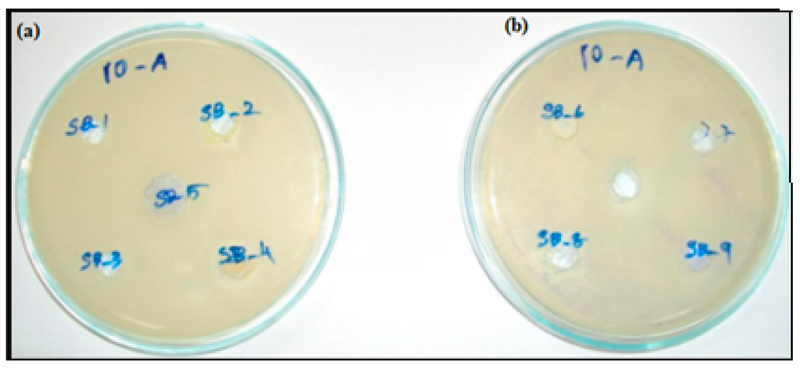 Engproc 56 00294 g006