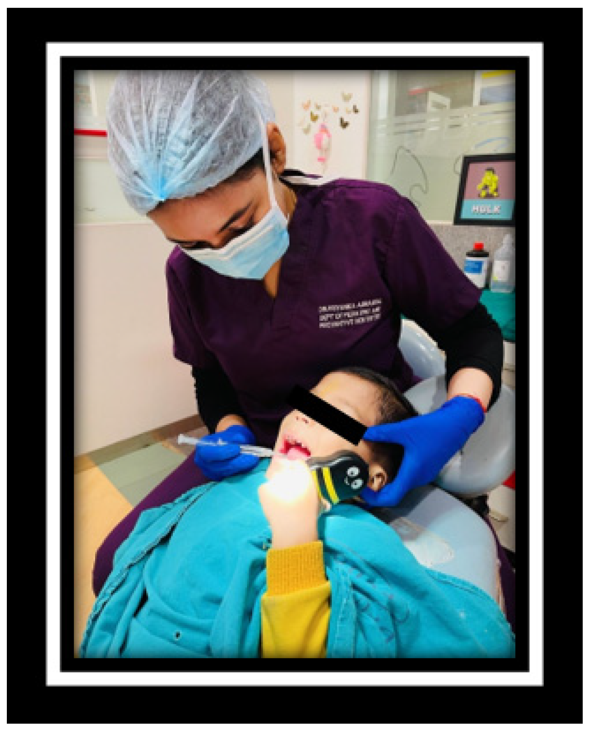 Engproc 56 00299 g001