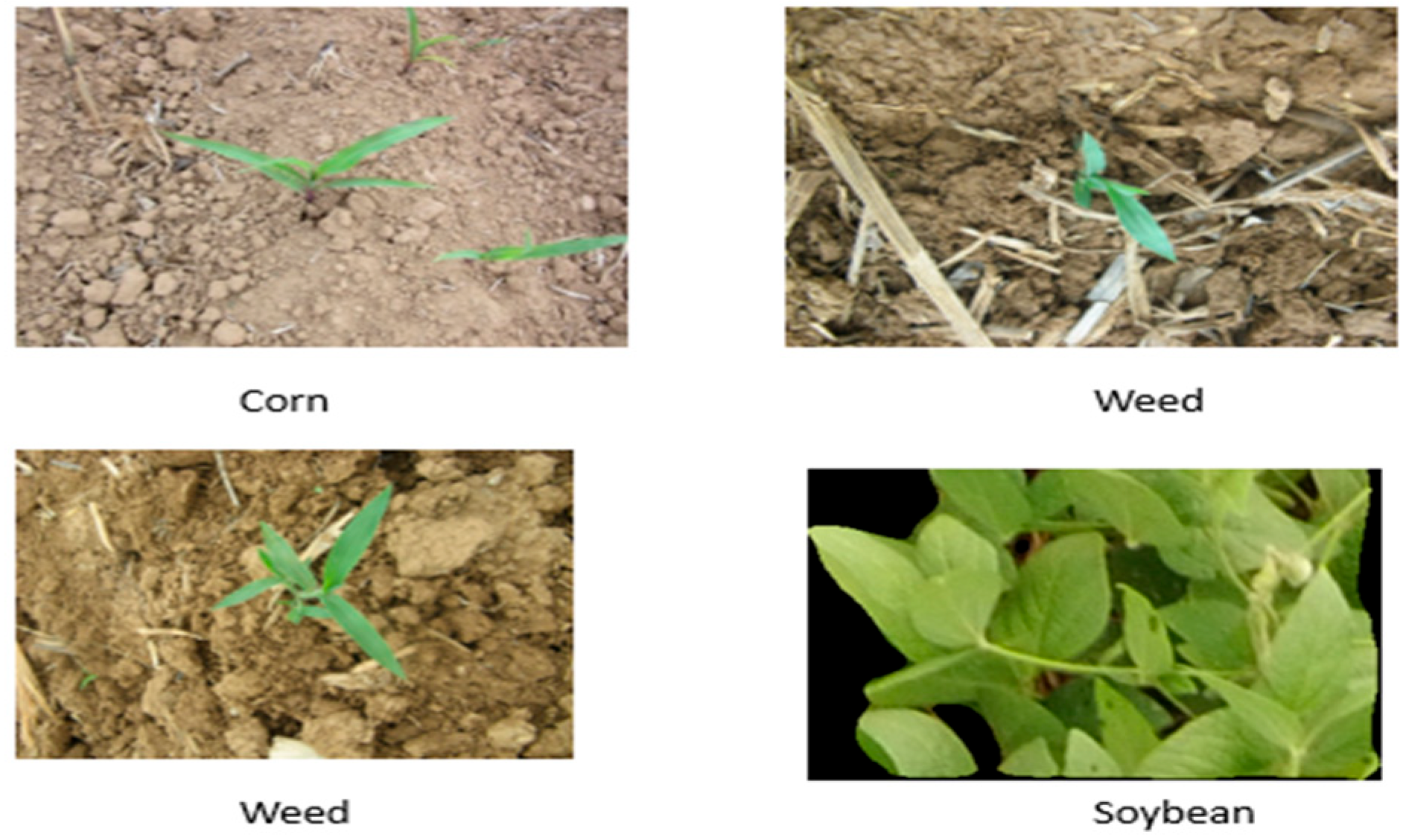 Engproc 56 00318 g002