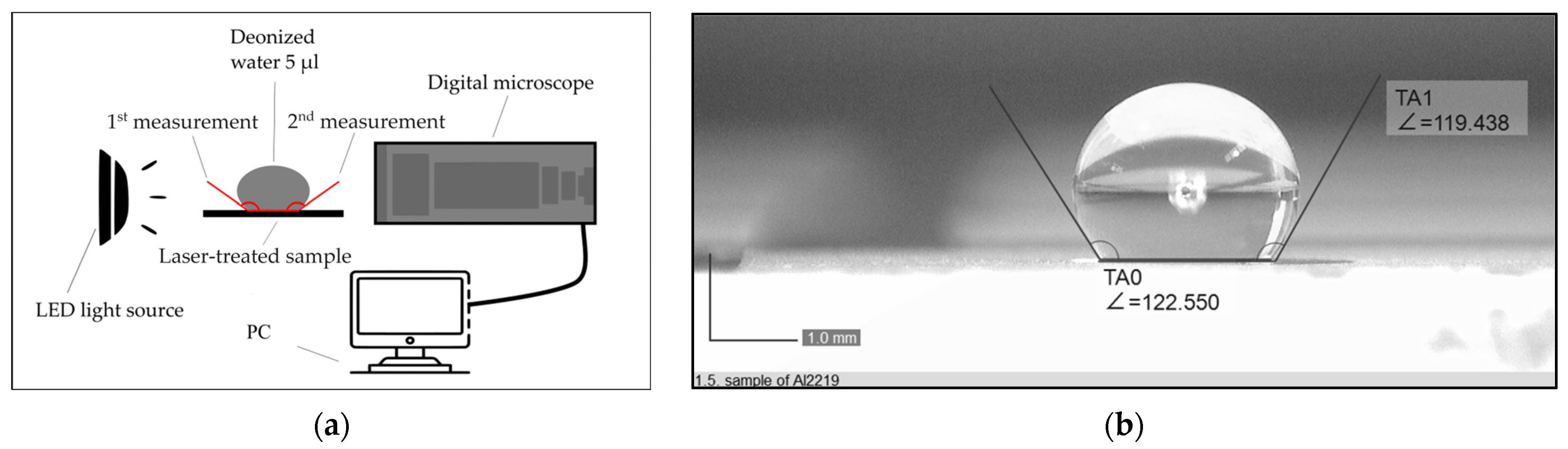 Engproc 56 00326 g003