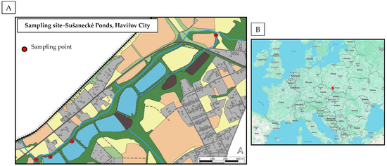 Engproc 57 00008 g001