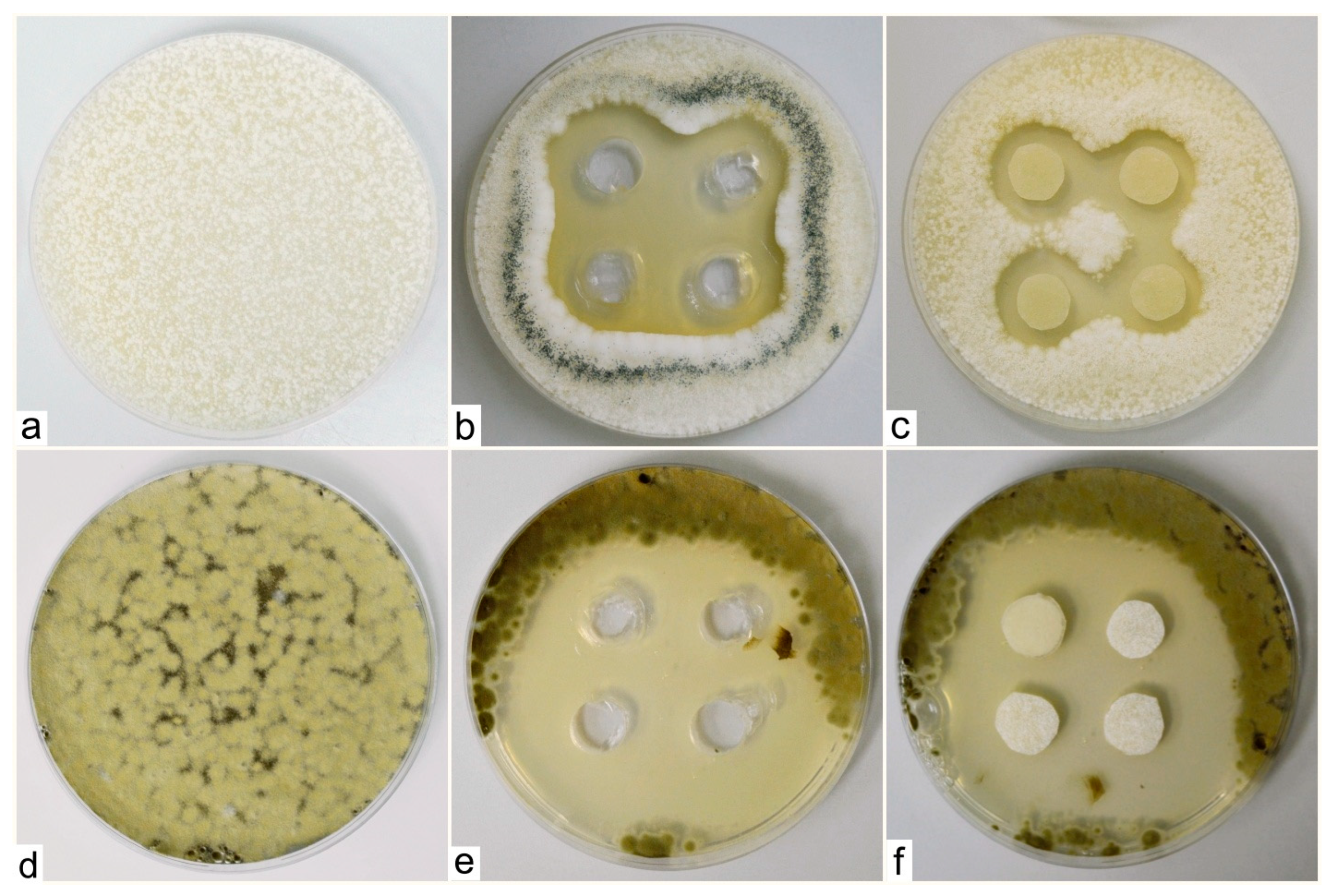 Engproc 57 00010 g003