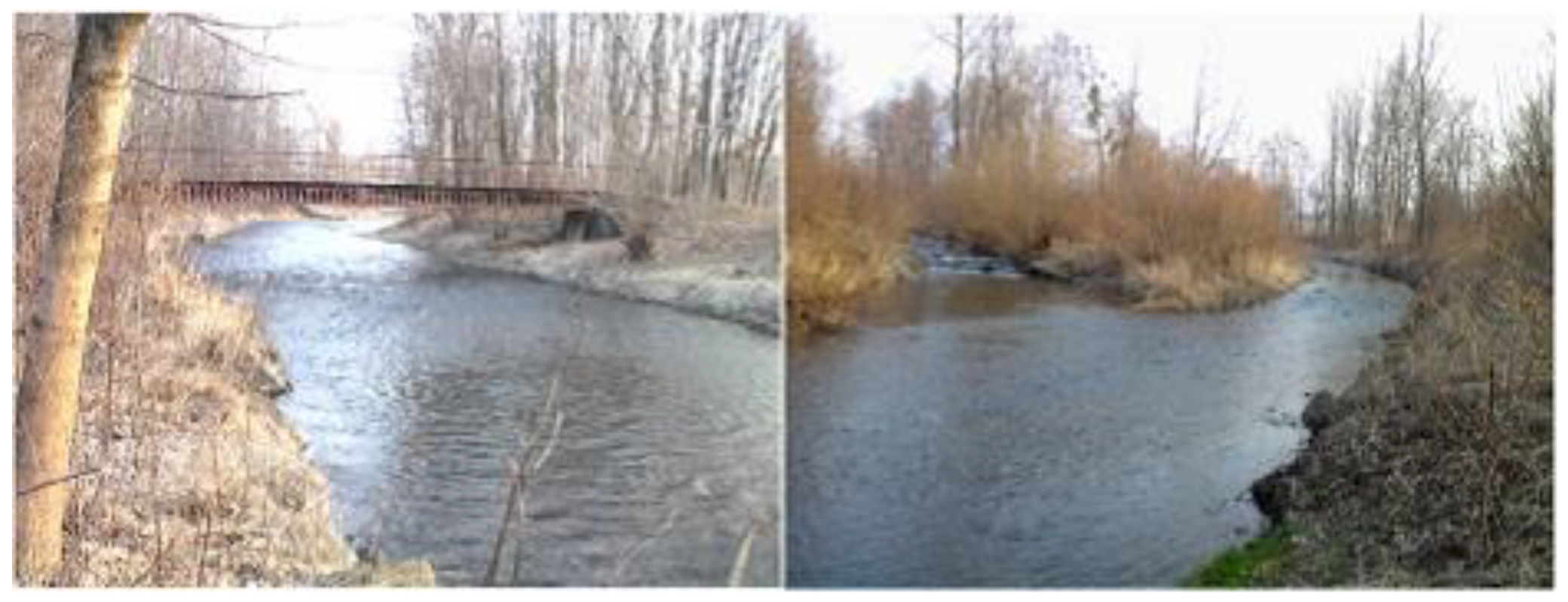 Engproc 57 00017 g001