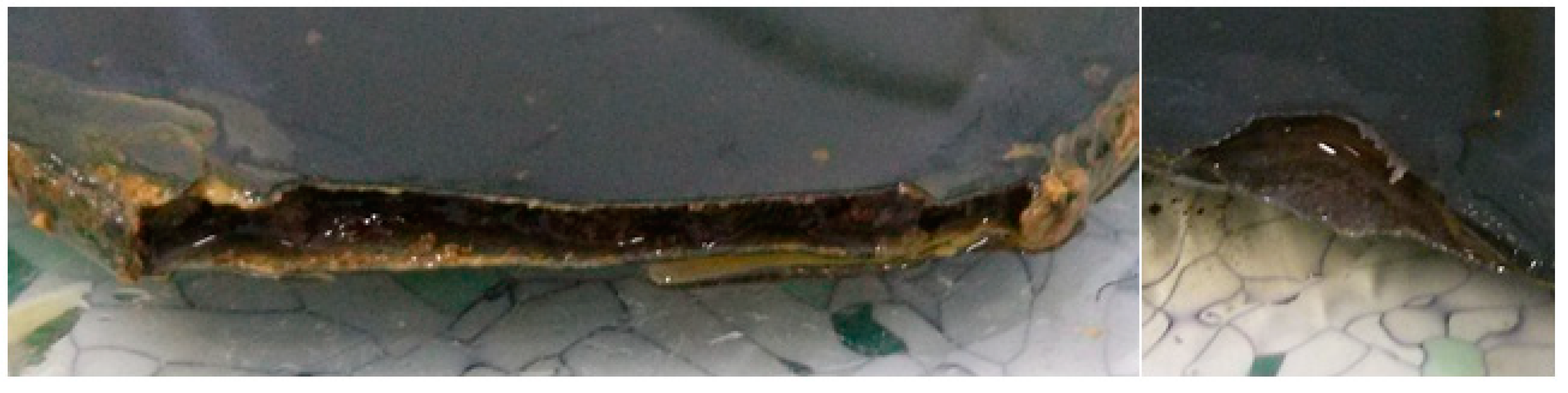 Engproc 57 00025 g006