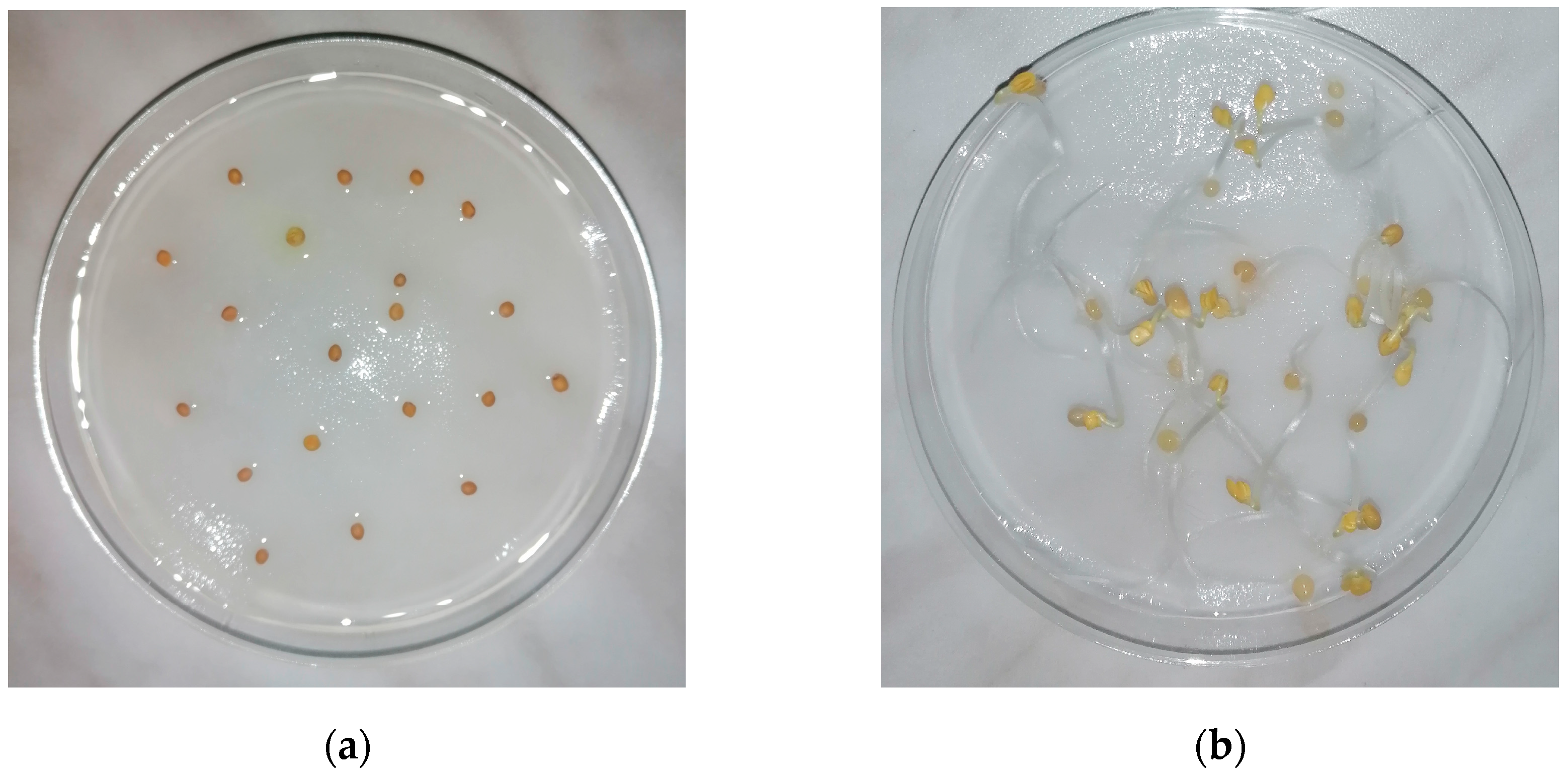 Engproc 57 00030 g001