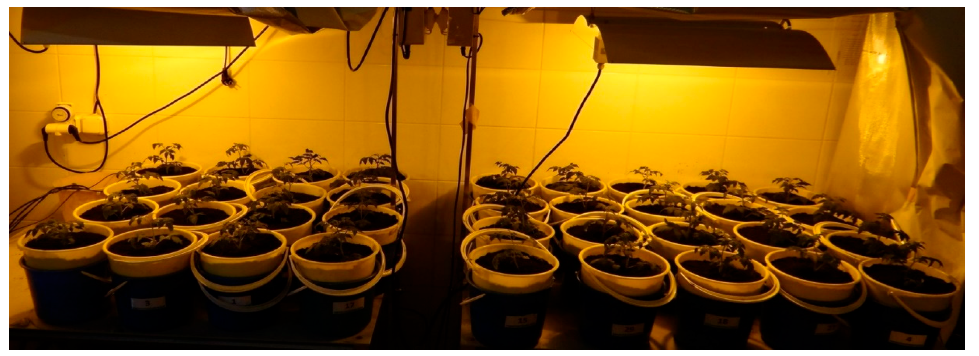 Engproc 57 00042 g001