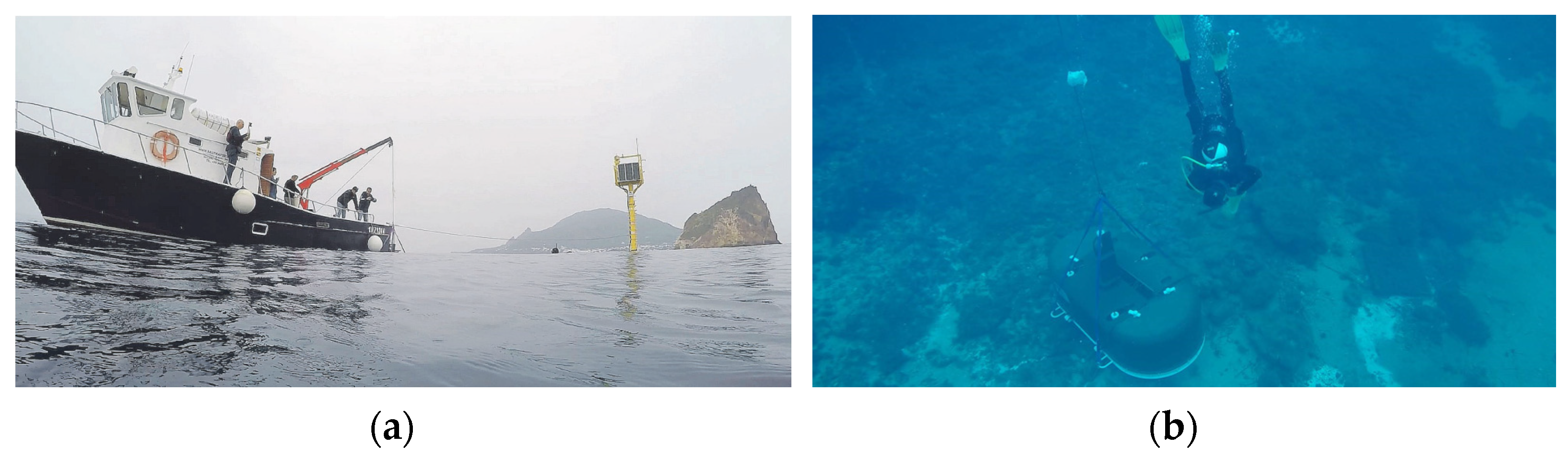 Engproc 58 00009 g003