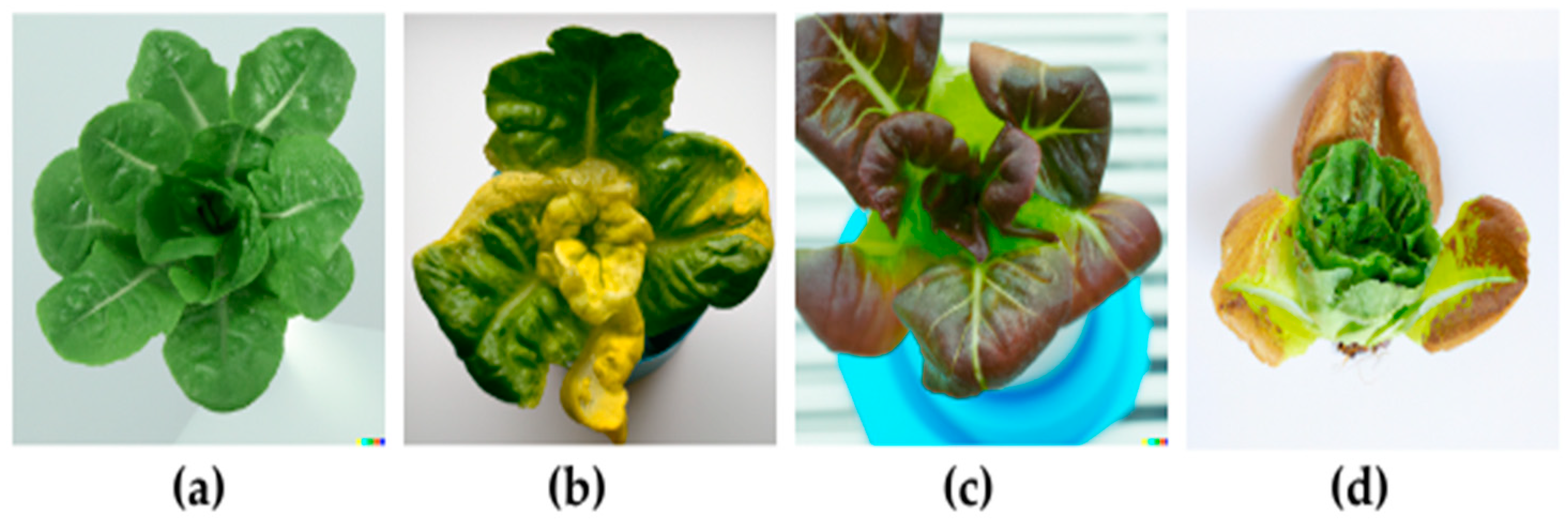 Engproc 58 00031 g001