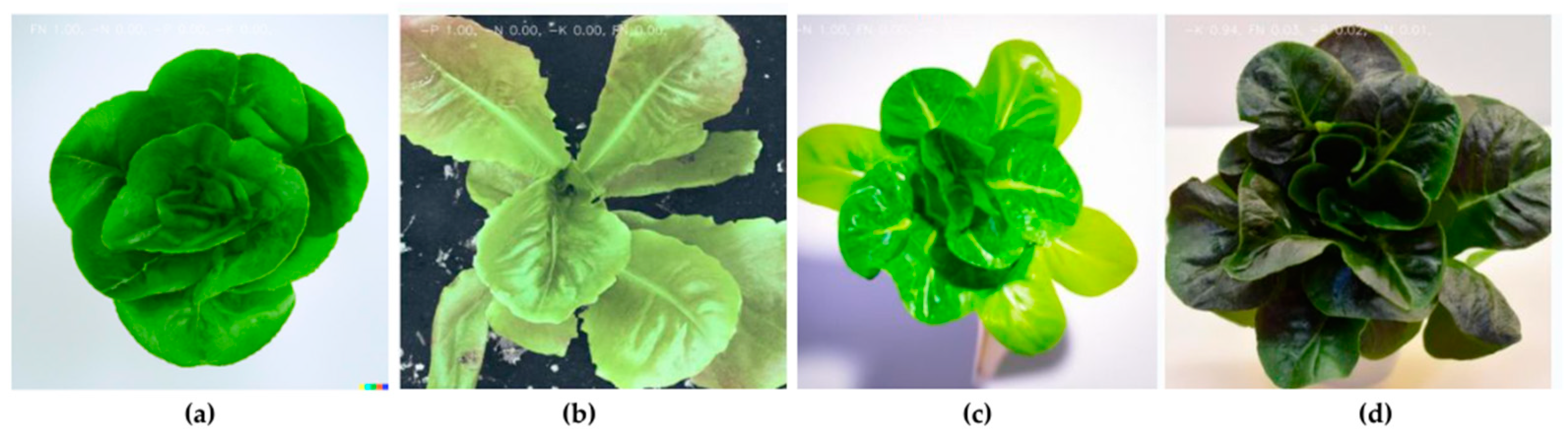 Engproc 58 00031 g004