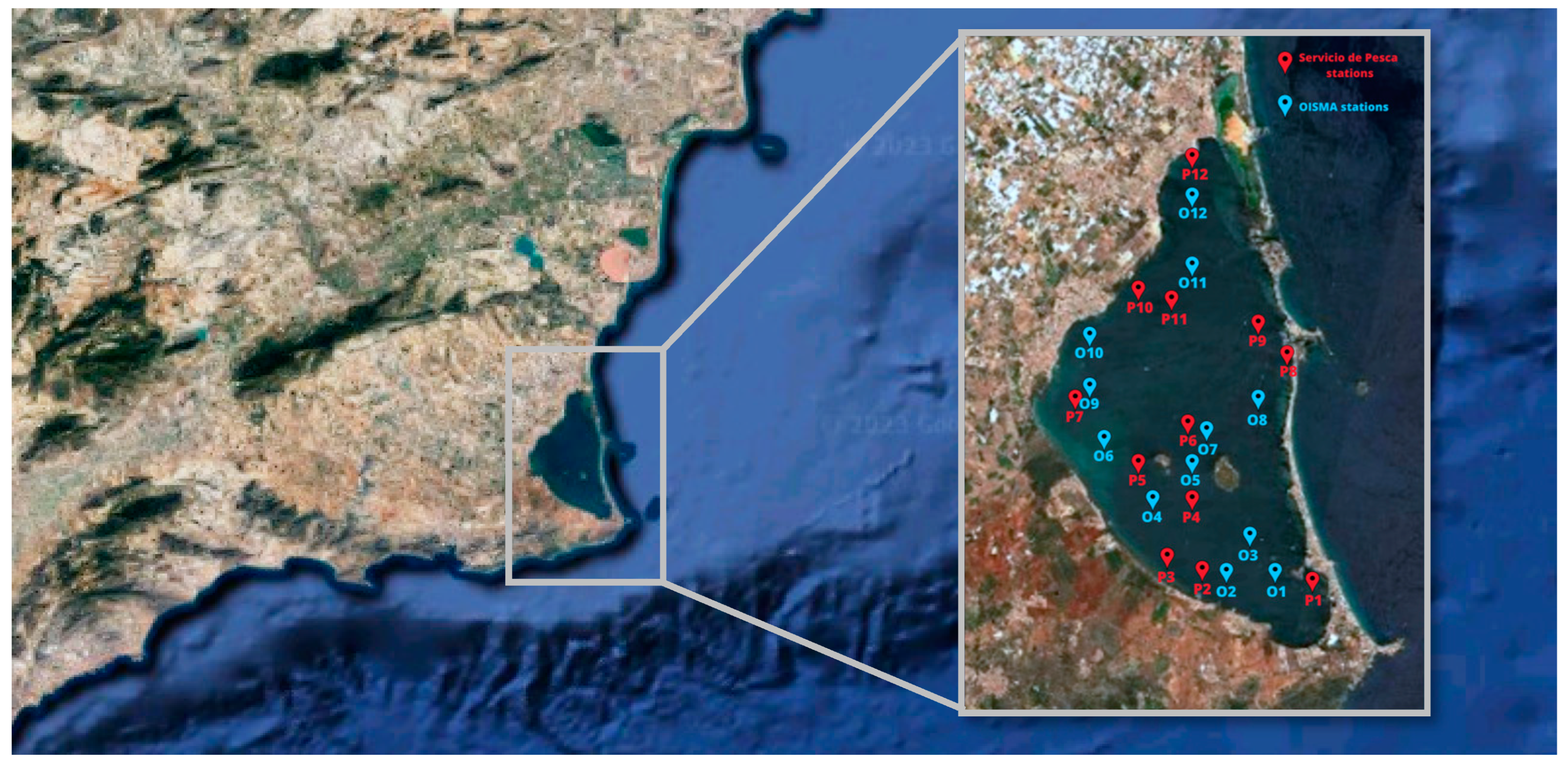 Engproc 58 00032 g001