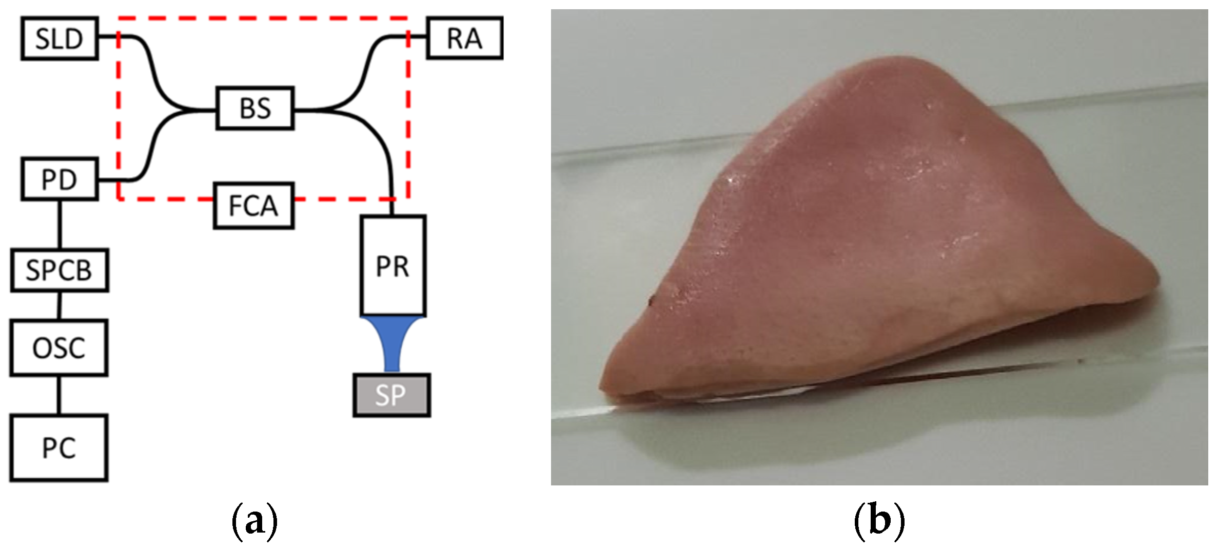 Engproc 58 00089 g001