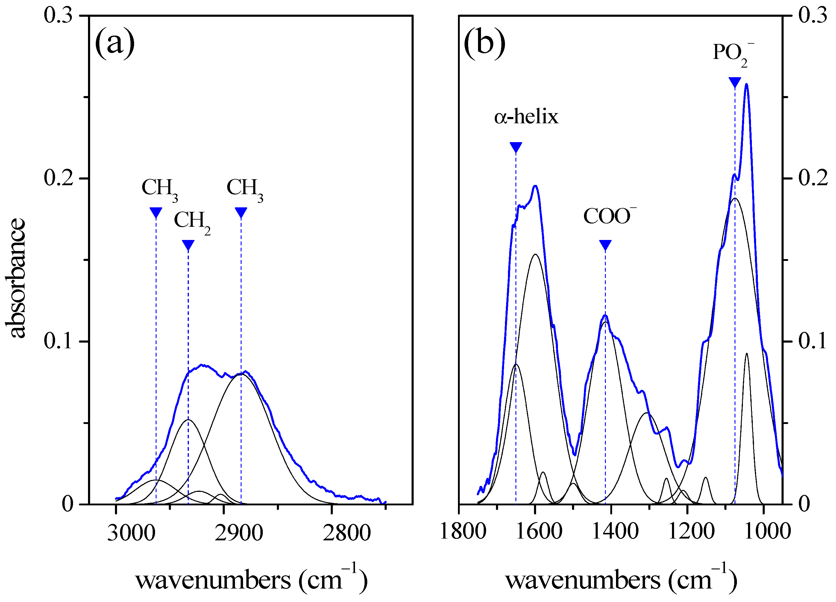 Engproc 58 00096 g001