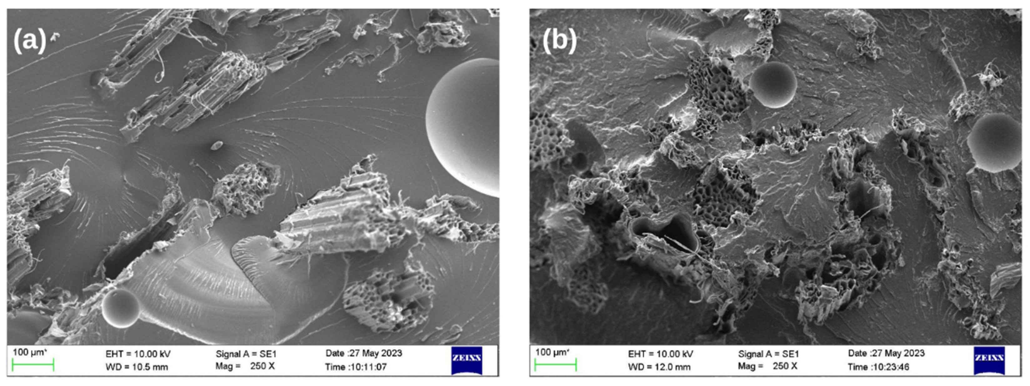 Engproc 59 00006 g001