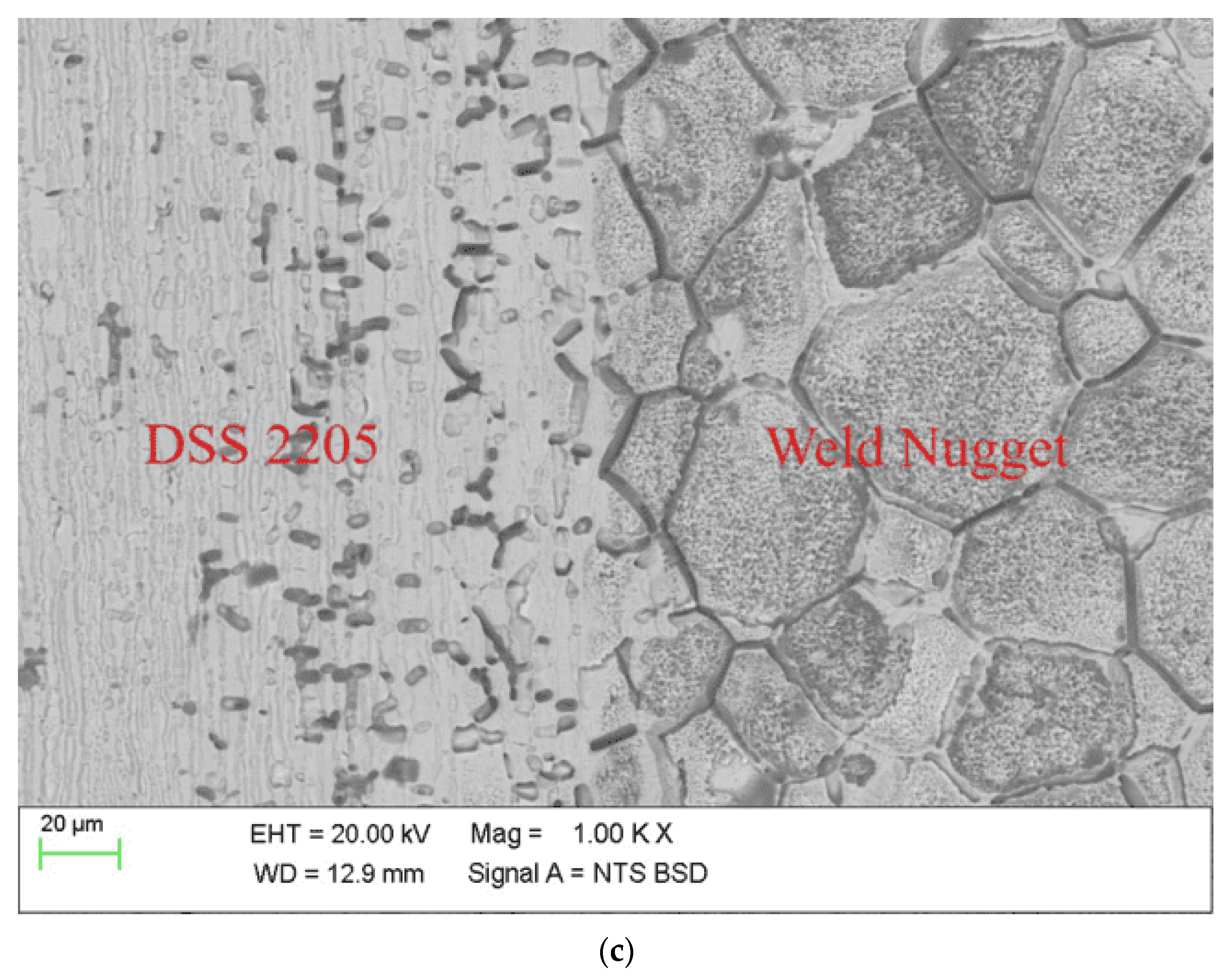 Engproc 59 00027 g001b