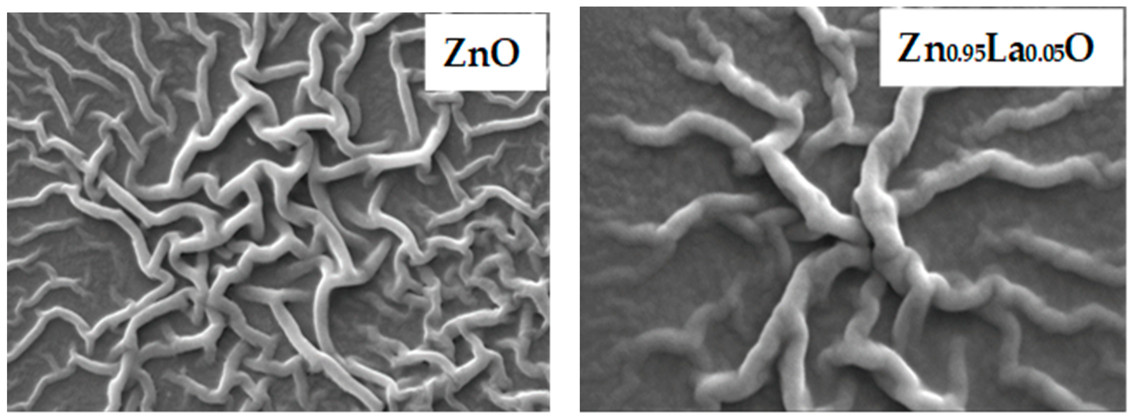 Engproc 59 00032 g002