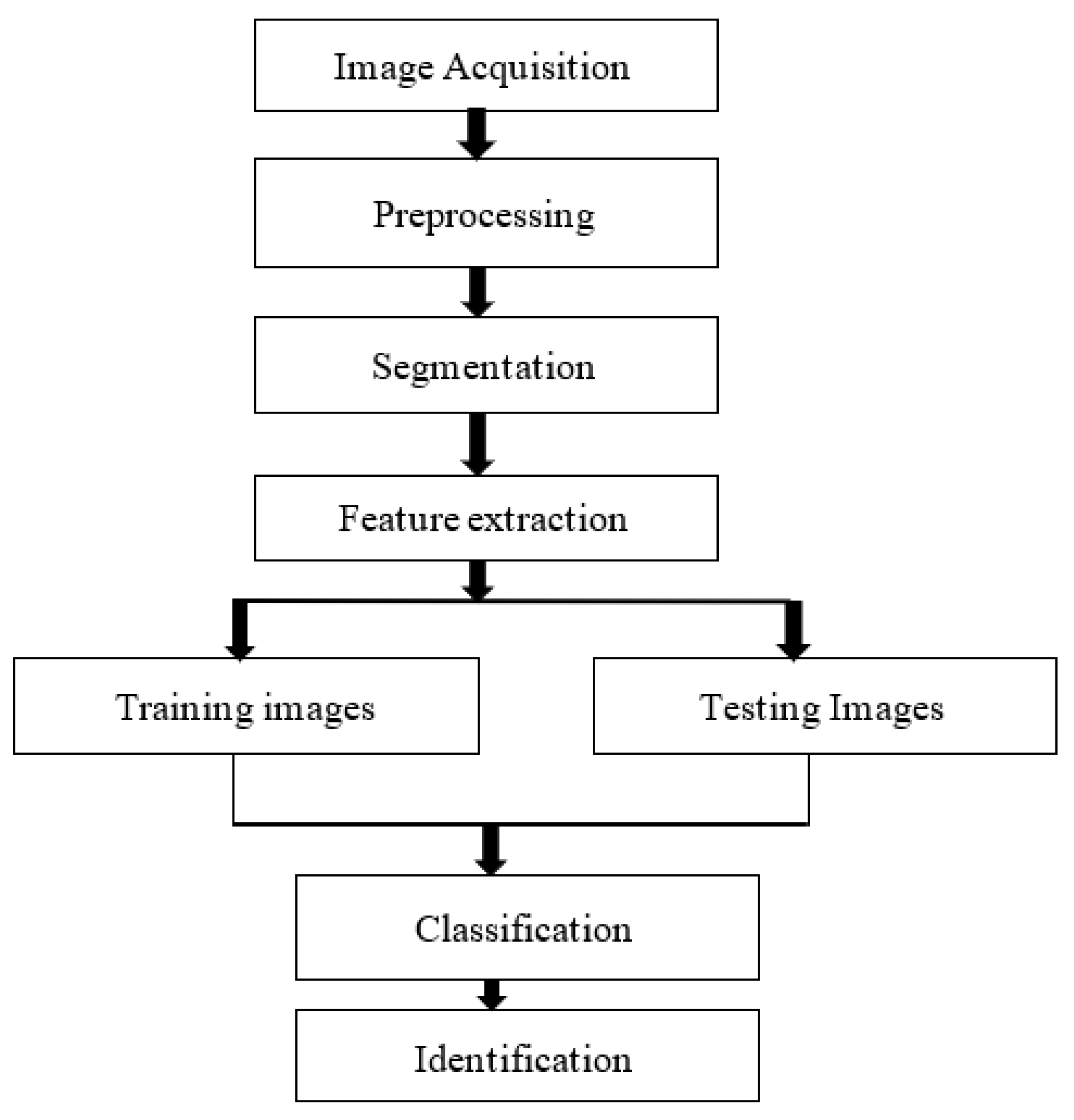 Engproc 59 00034 g001