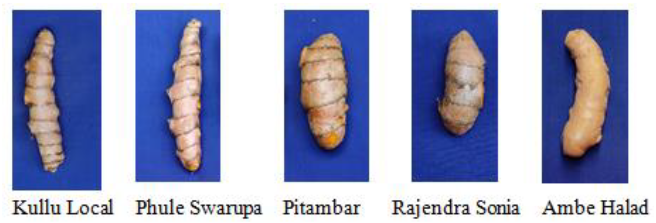 Engproc 59 00034 g002