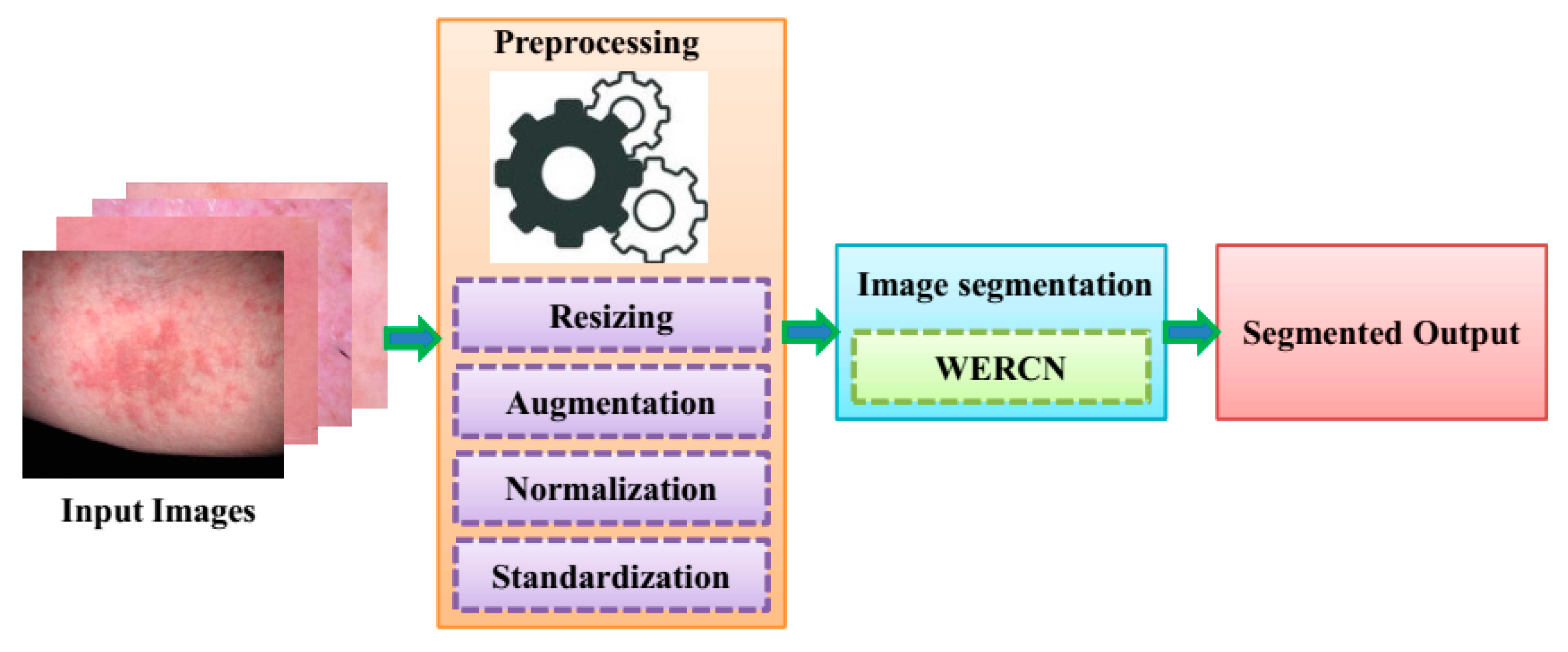 Engproc 59 00049 g001