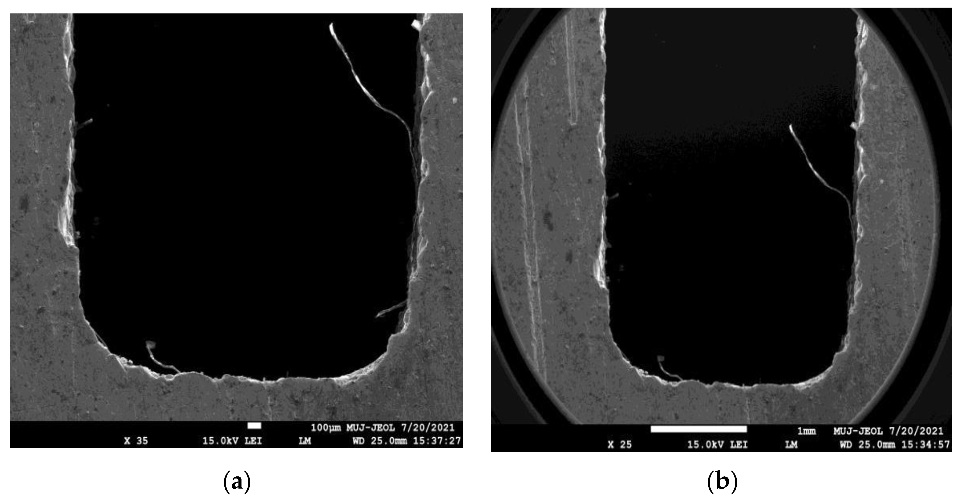 Engproc 59 00052 g003