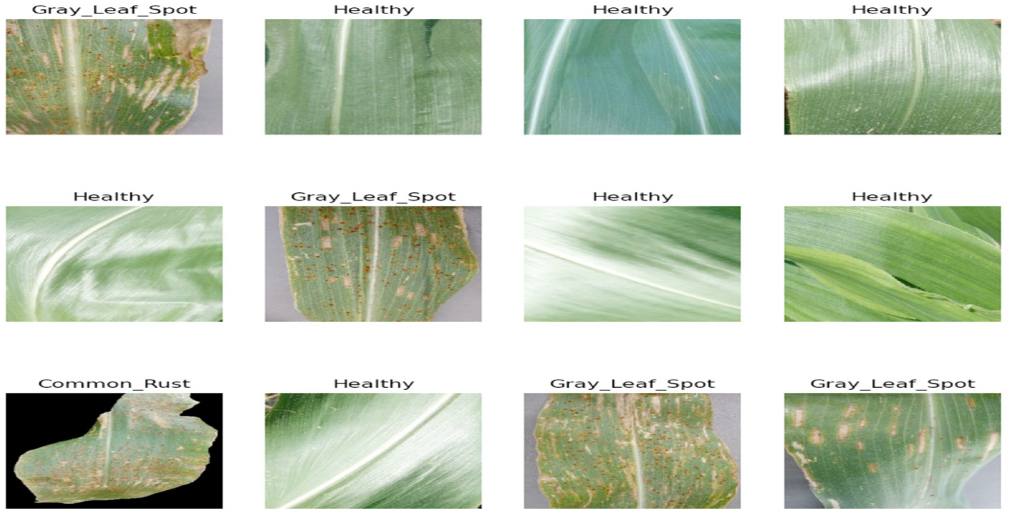 Engproc 59 00069 g001