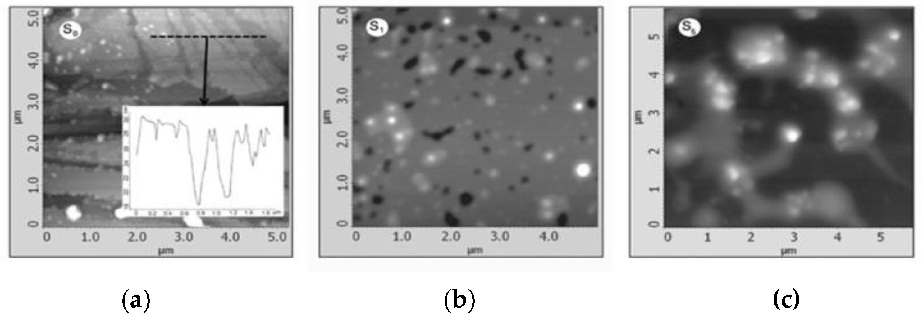 Engproc 59 00084 g006