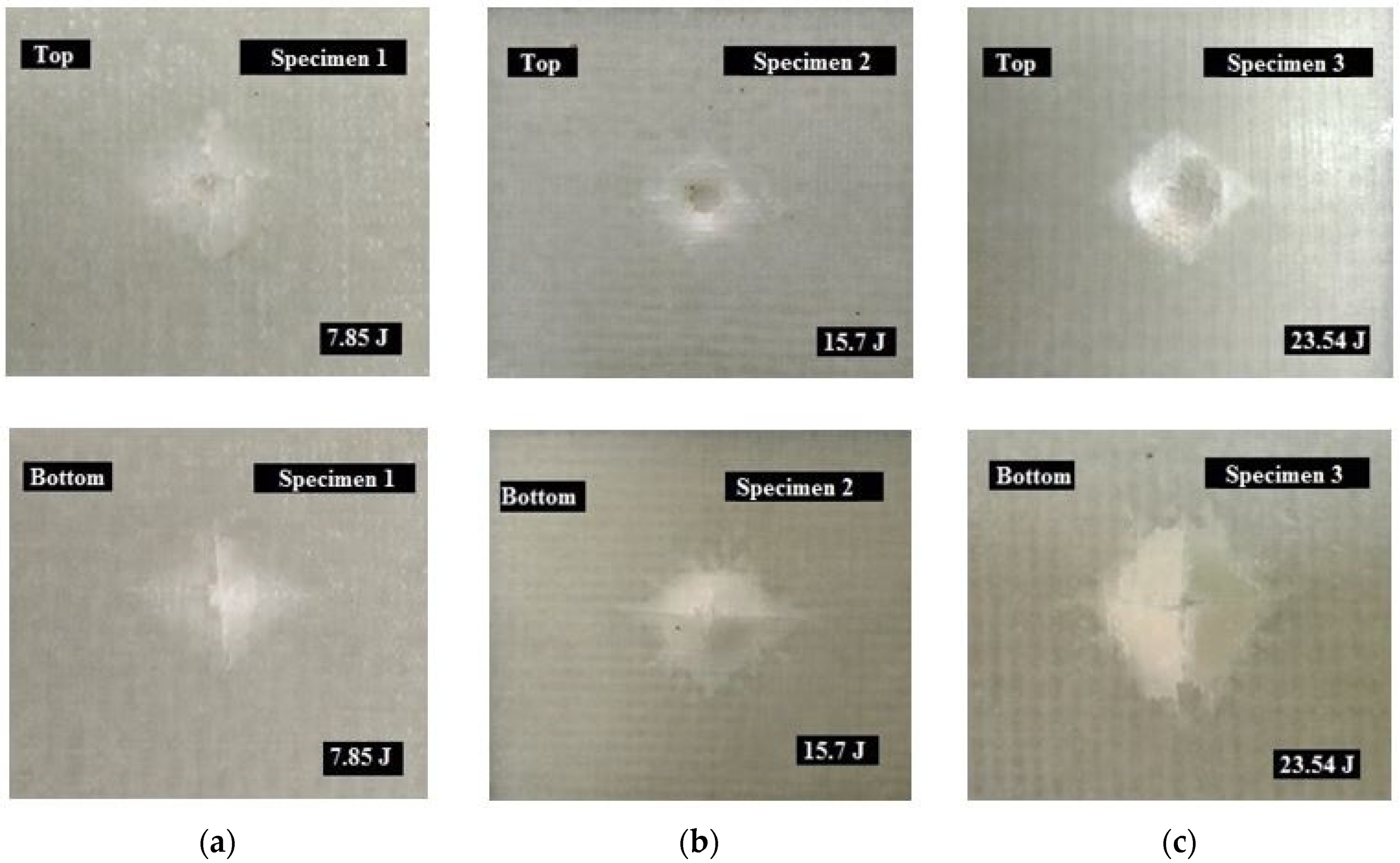 Engproc 59 00088 g006