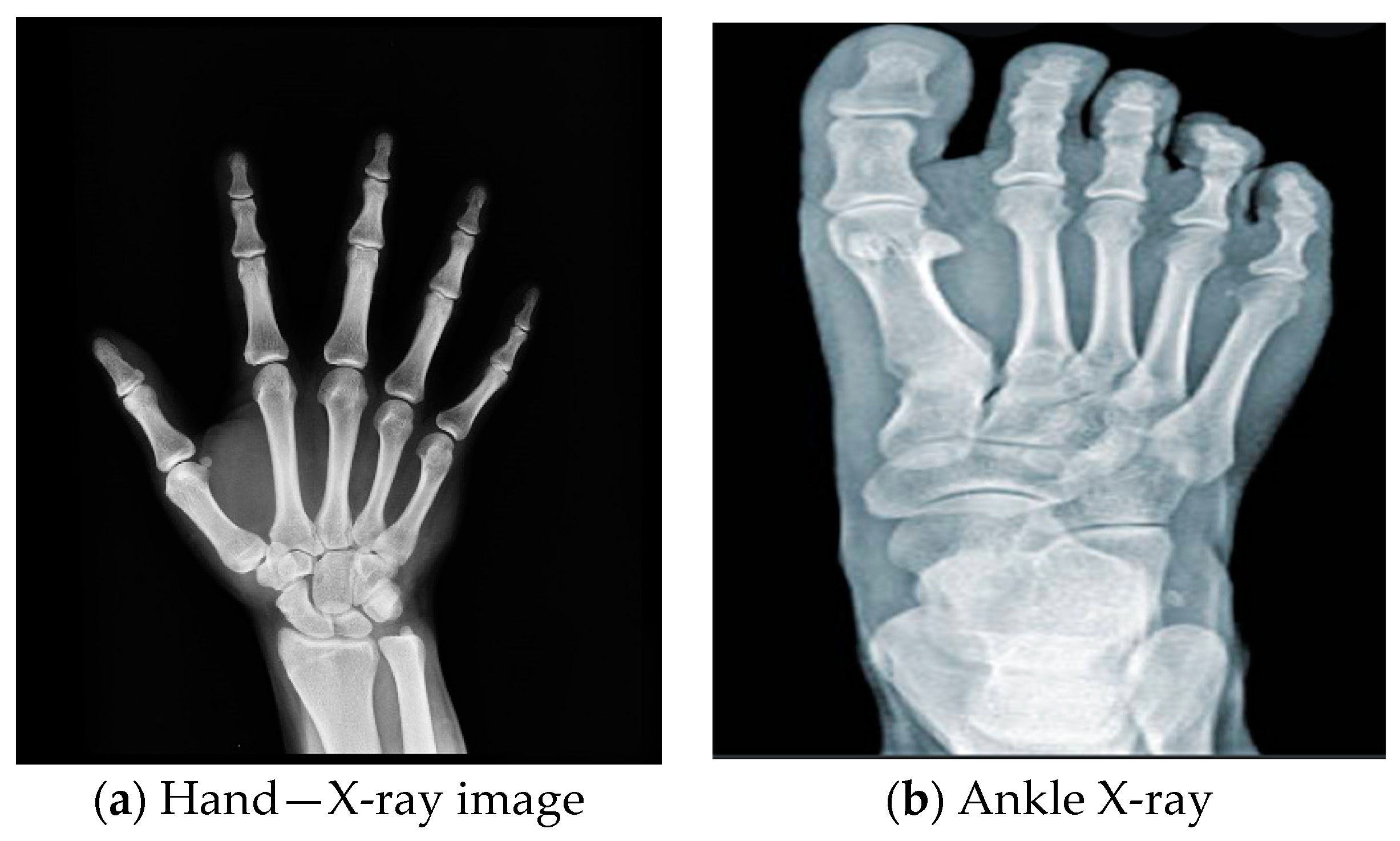 Engproc 59 00100 g001