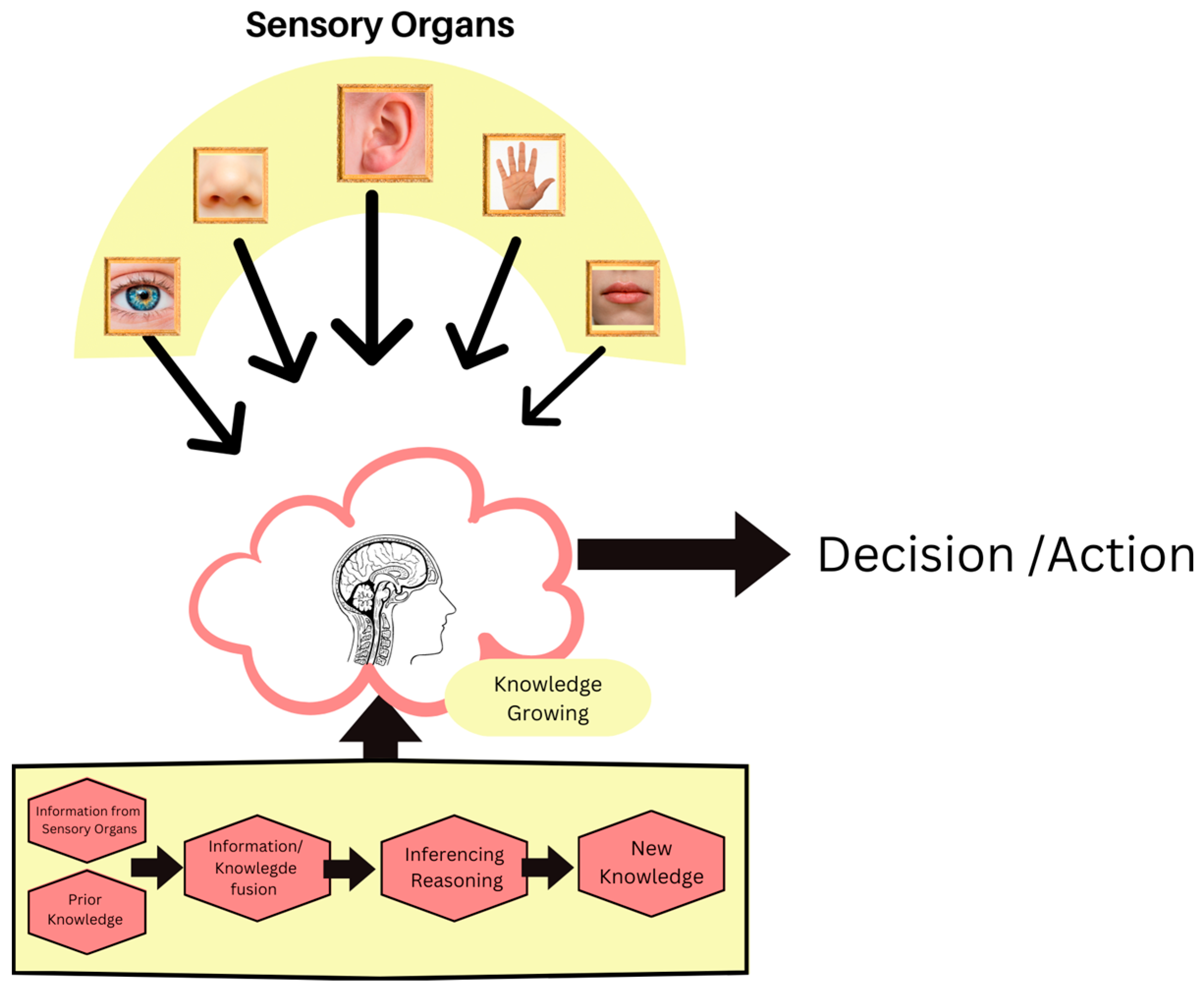 Engproc 59 00102 g002