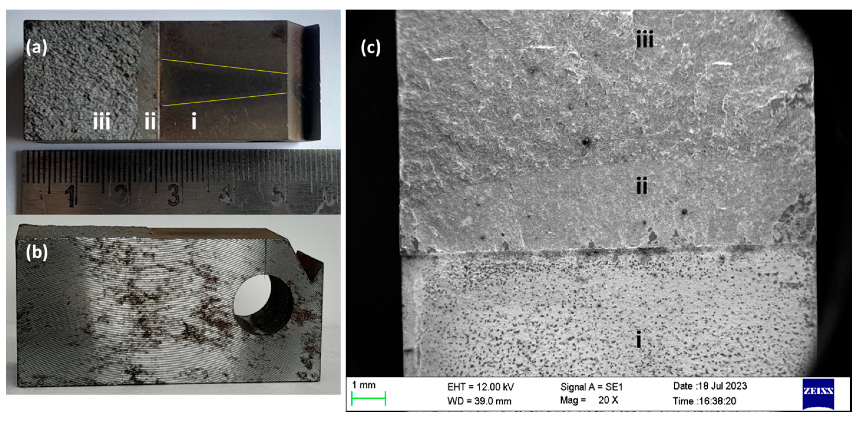 Engproc 59 00119 g007