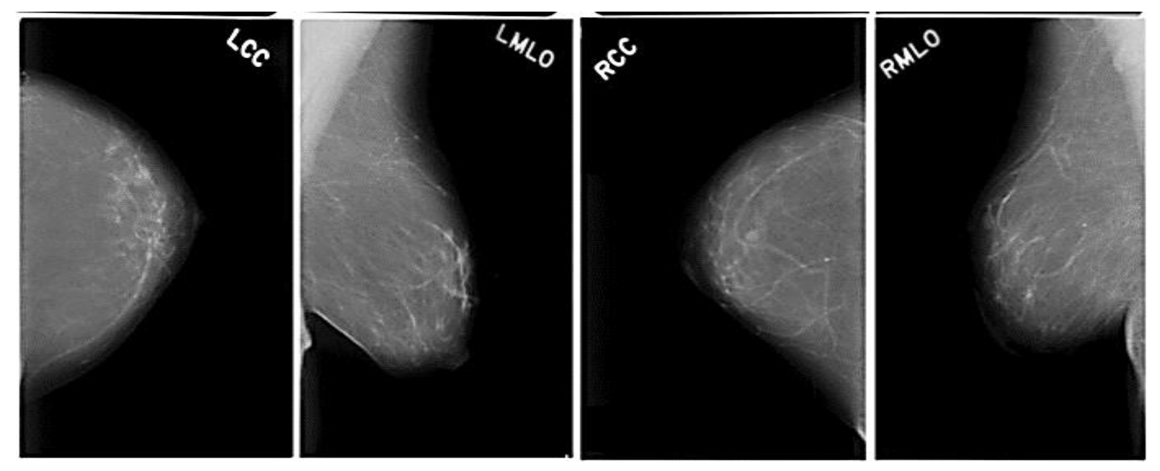 Engproc 59 00132 g006