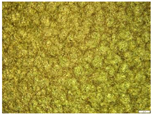 Engproc 59 00135 i001