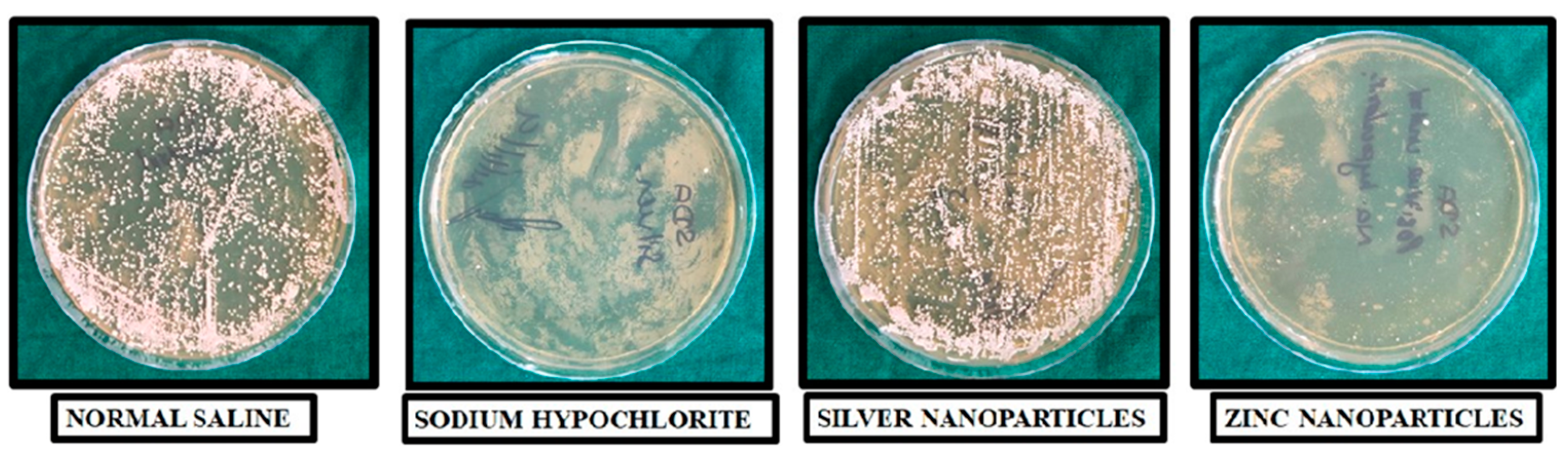 Engproc 59 00170 g001