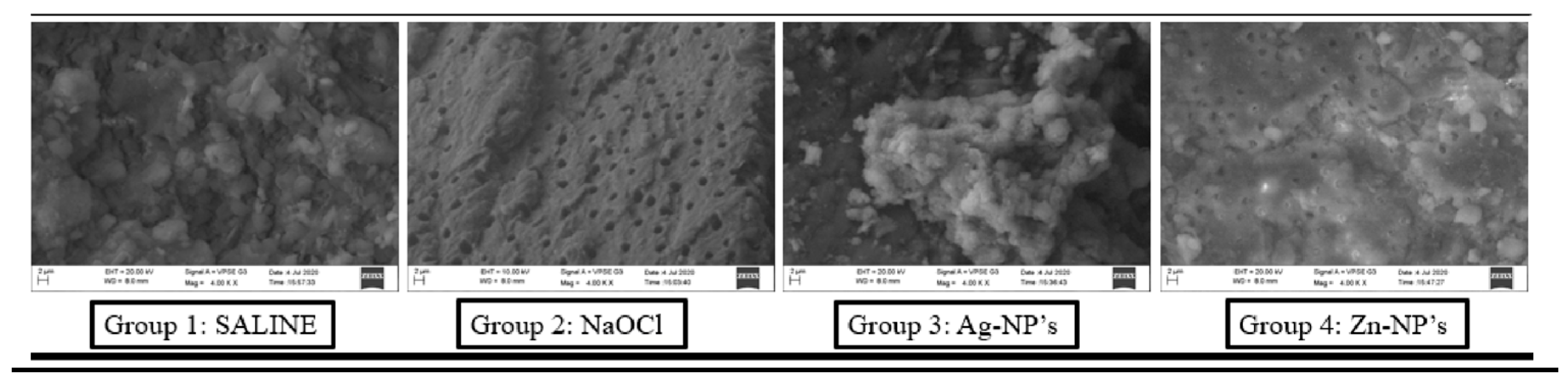 Engproc 59 00170 g002